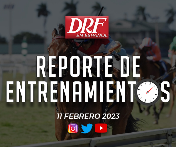 Reporte de Entrenamientos - Febrero 11