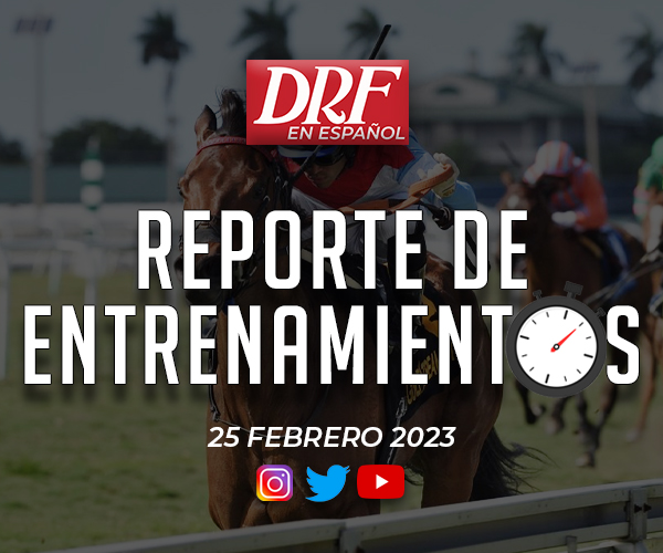 Reporte de Entrenamientos - Febrero 25
