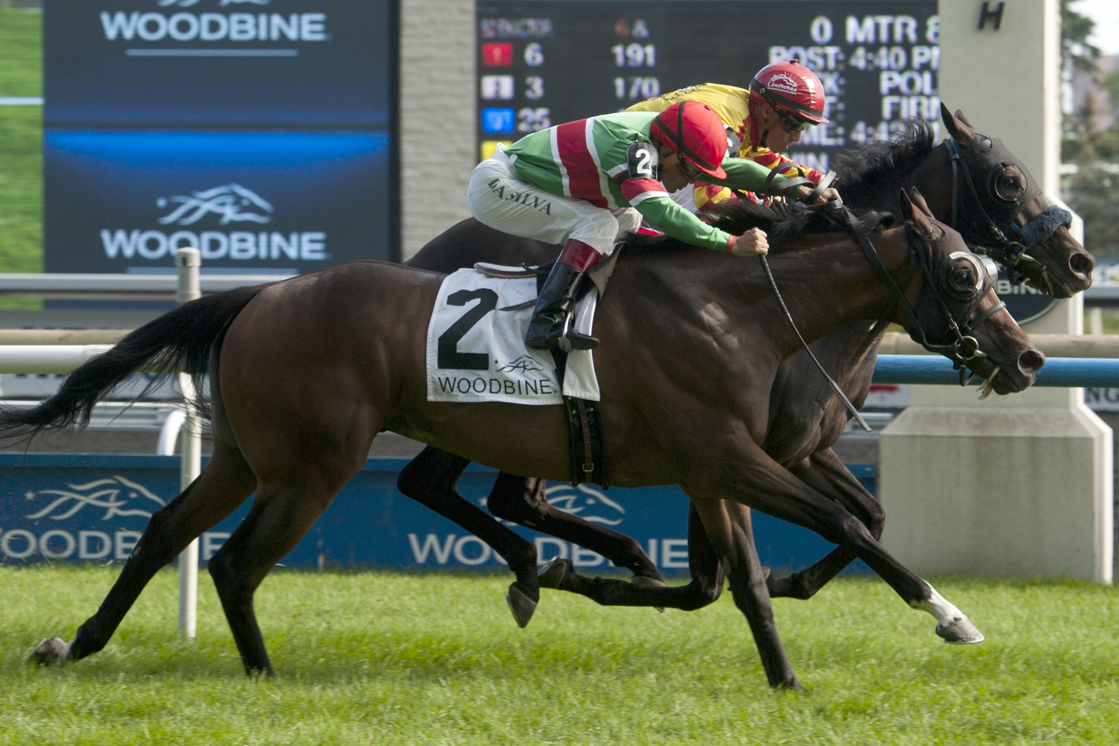 Reporting Star wins 2015 Play the King over Tower of Texas