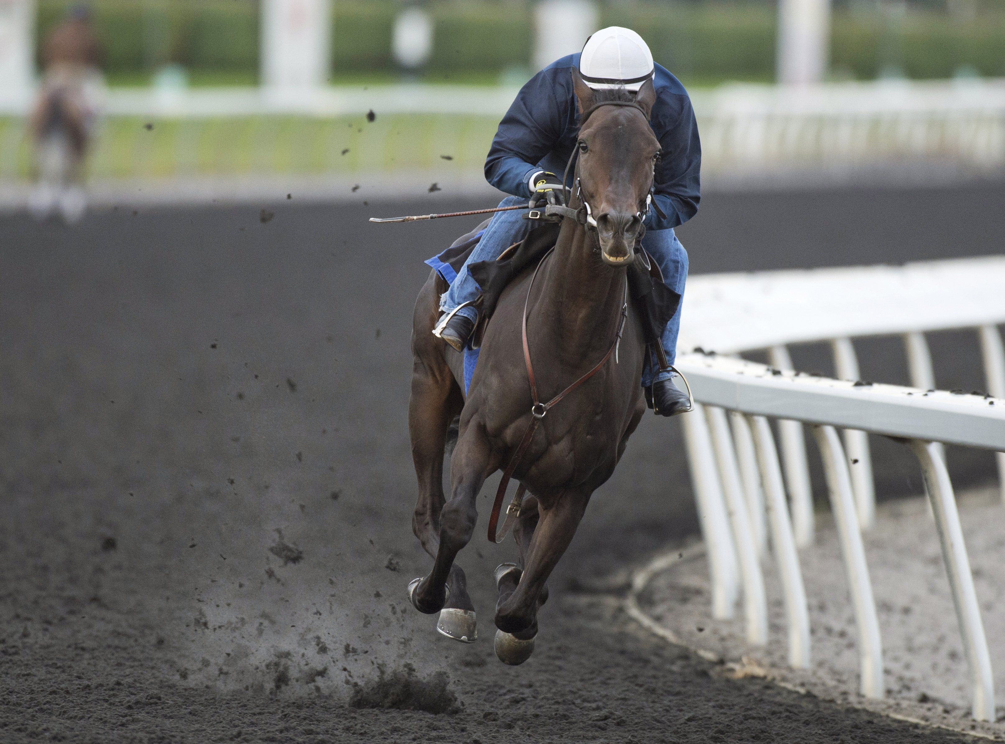 Reporting Star trains at Woodbine on Oct. 13