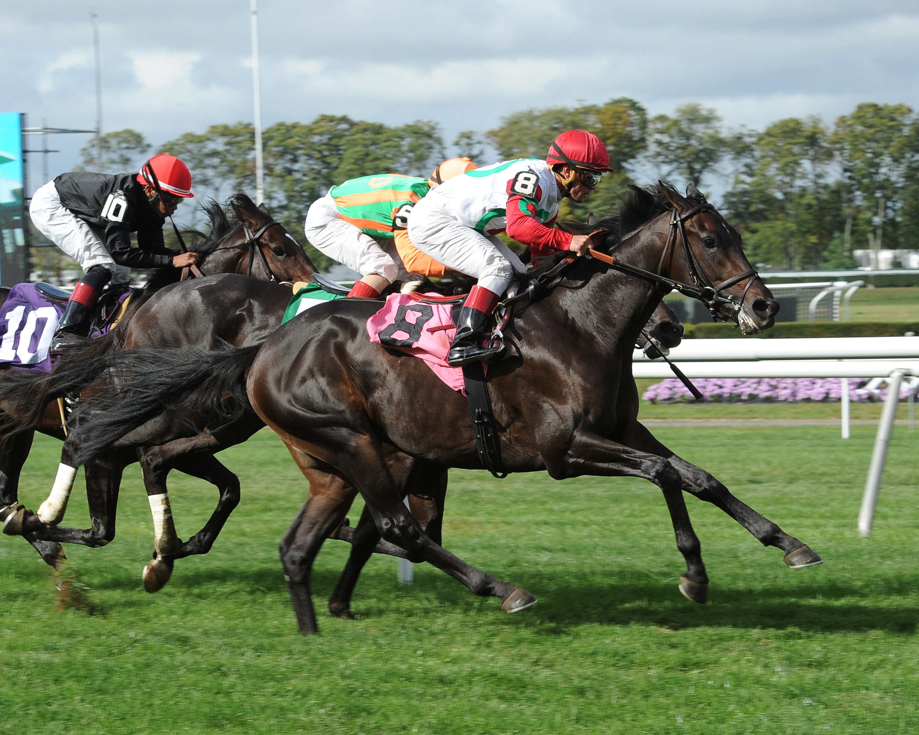 Request wins a maiden race