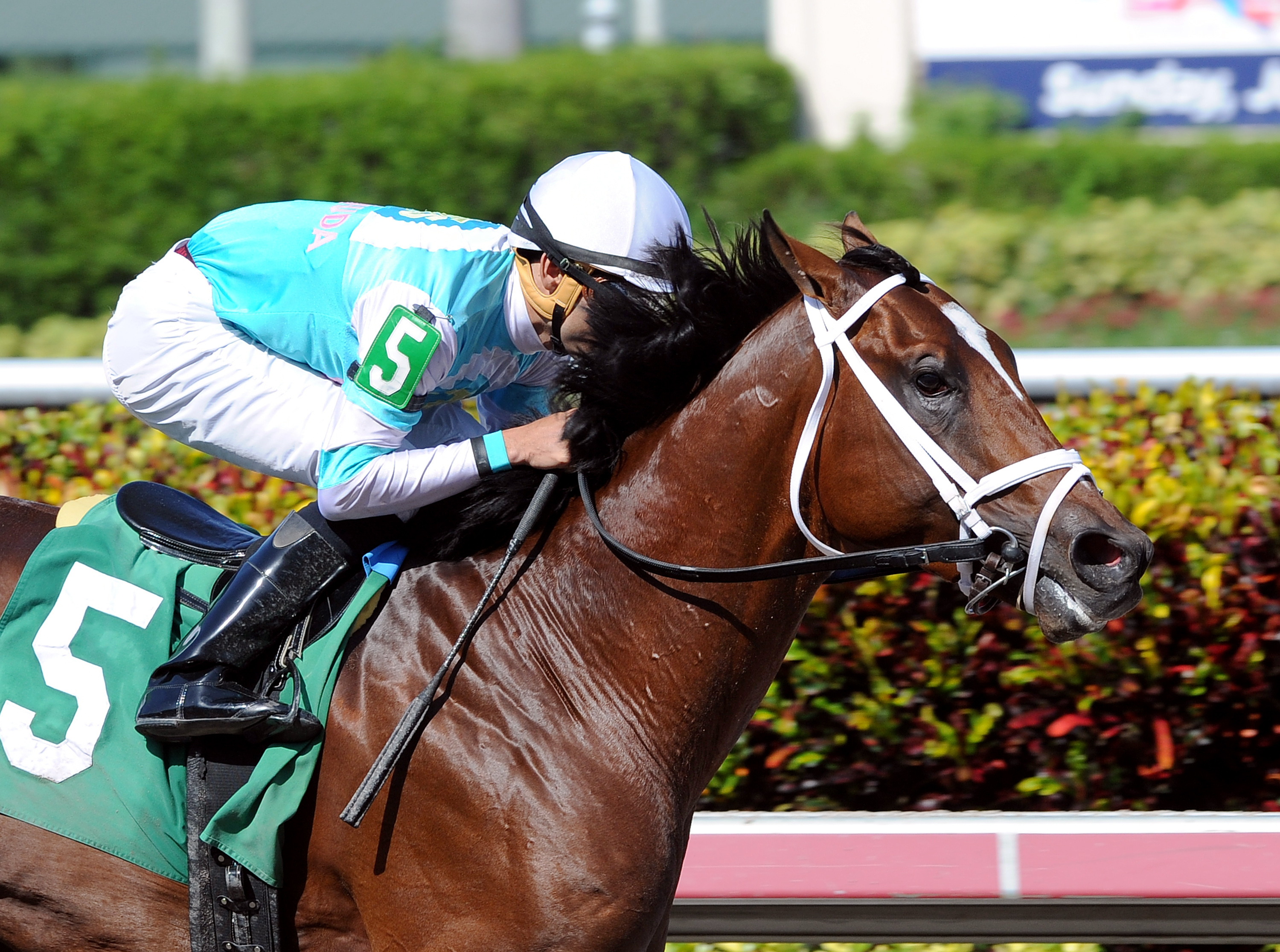 Requite wins an allowance race