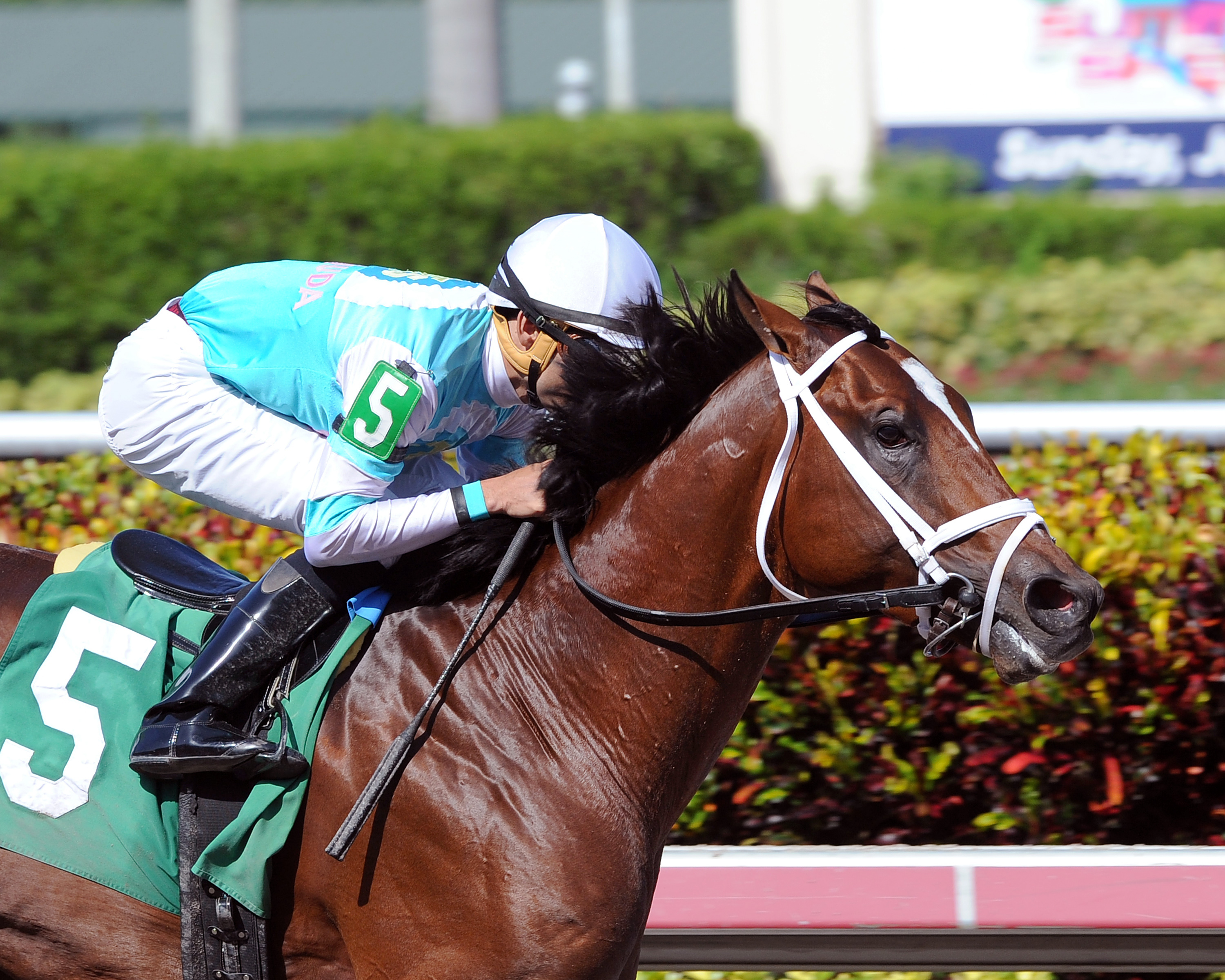 Requite wins an allowance race