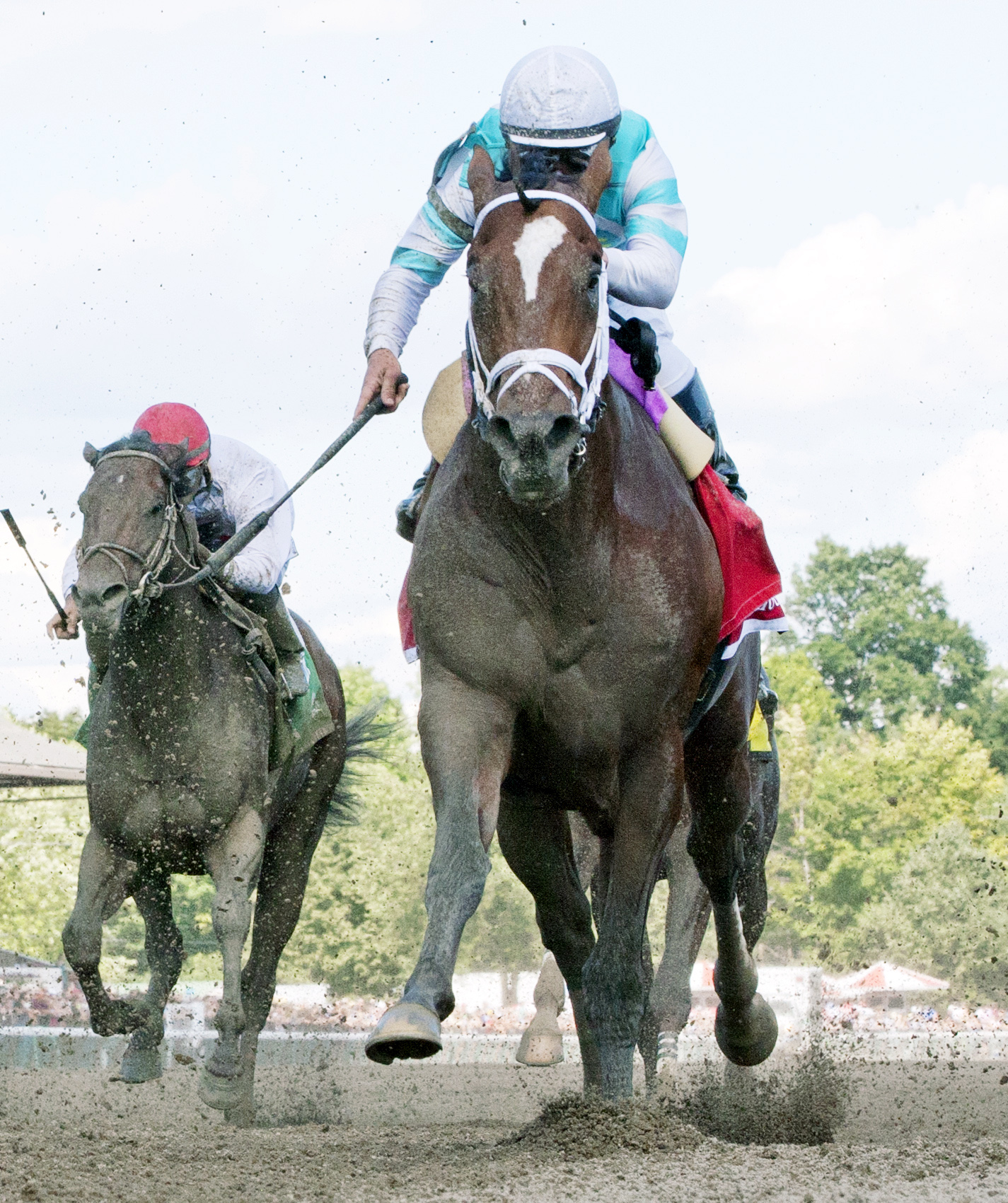 Requite finishes second in the Amsterdam Stakes