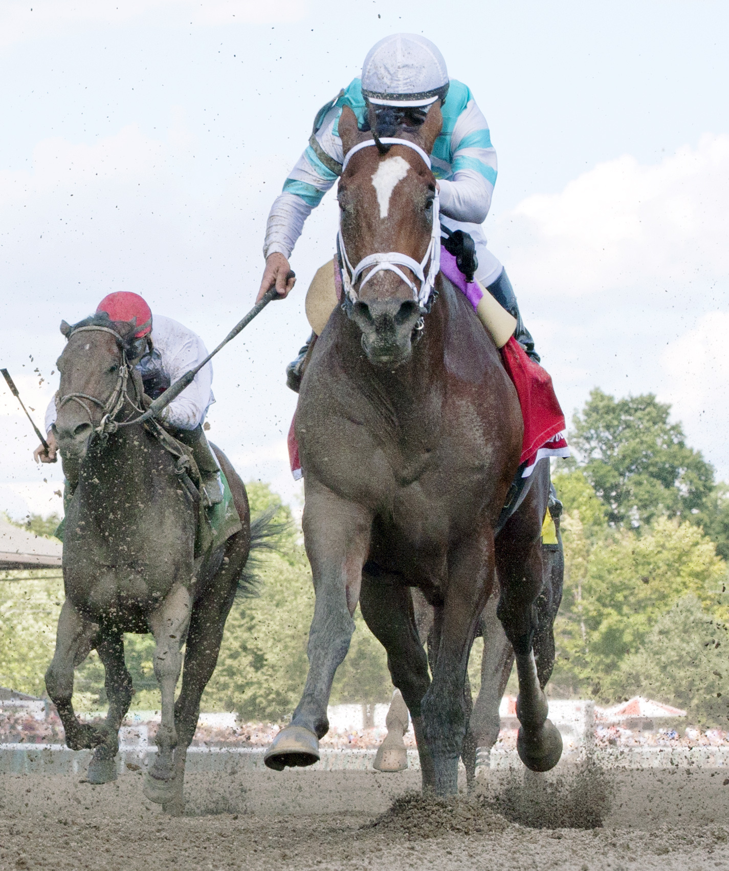 Requite finishes second in the Amsterdam Stakes