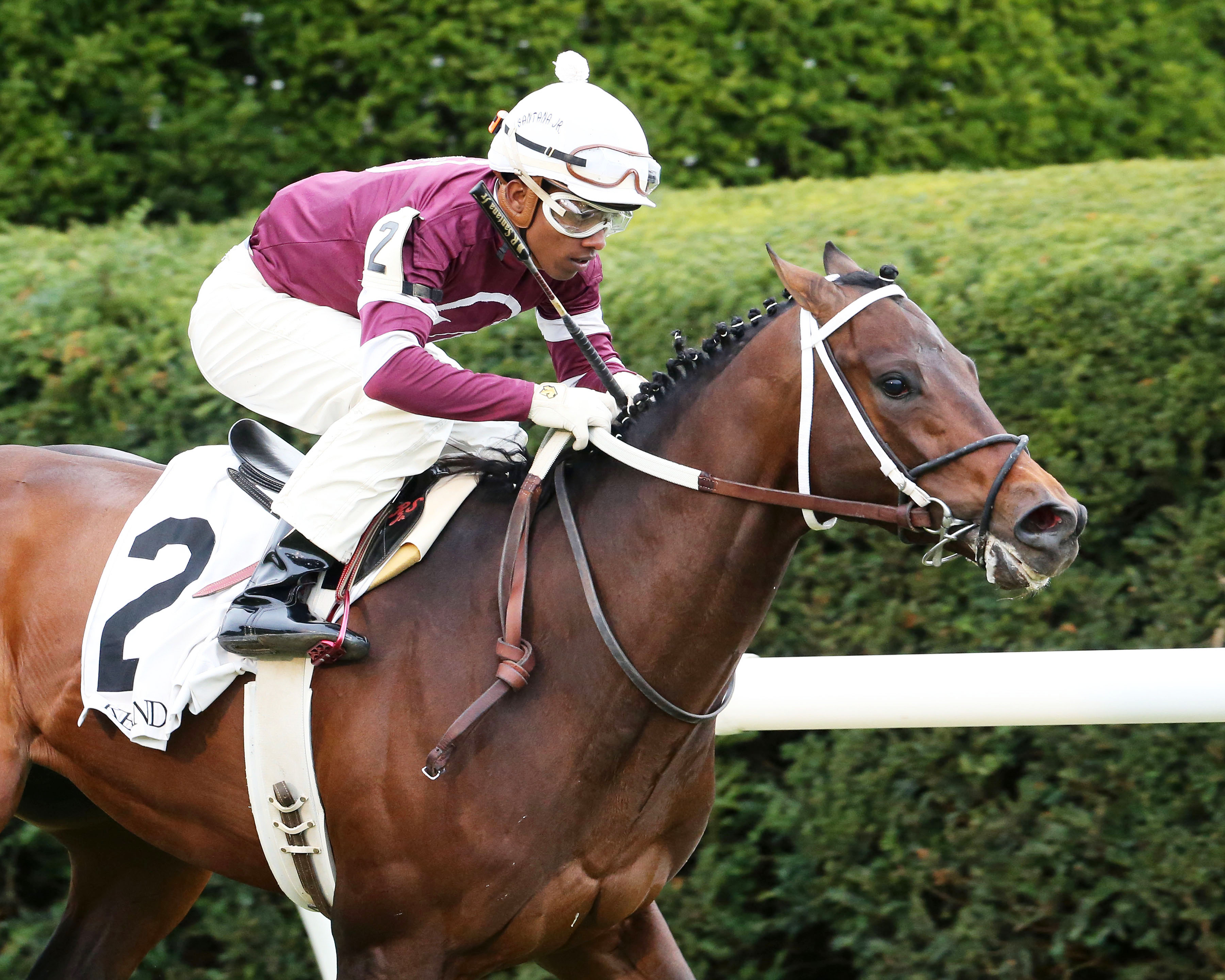 Reride wins an Oct. 25 allowance