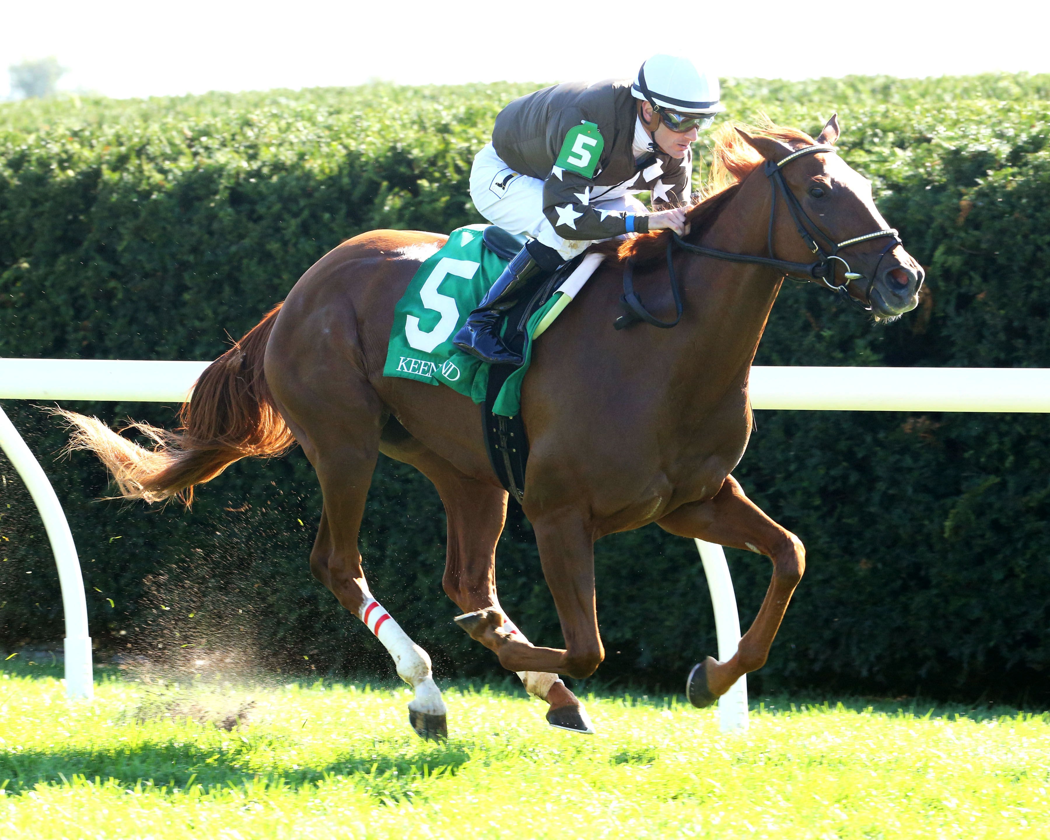 Res Ipsa wins an Oct. 13 allowance
