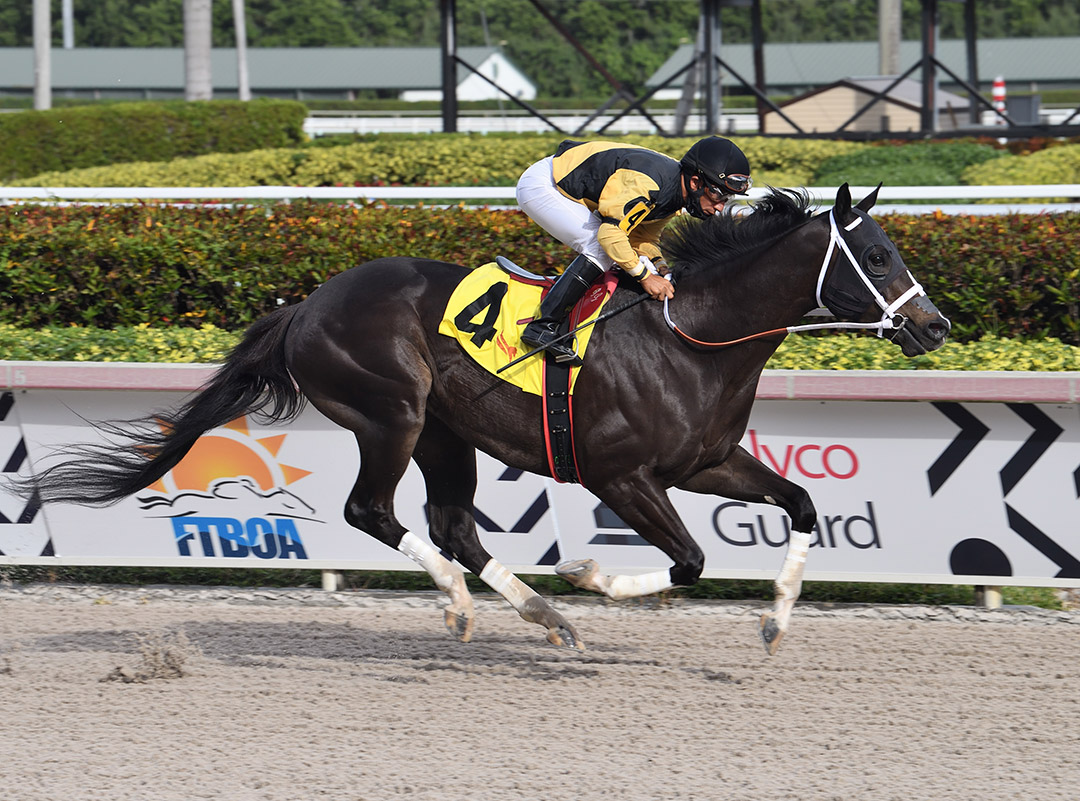 Reservenotattained wins a Jan. 8 starter allowance at Gulfstream Park