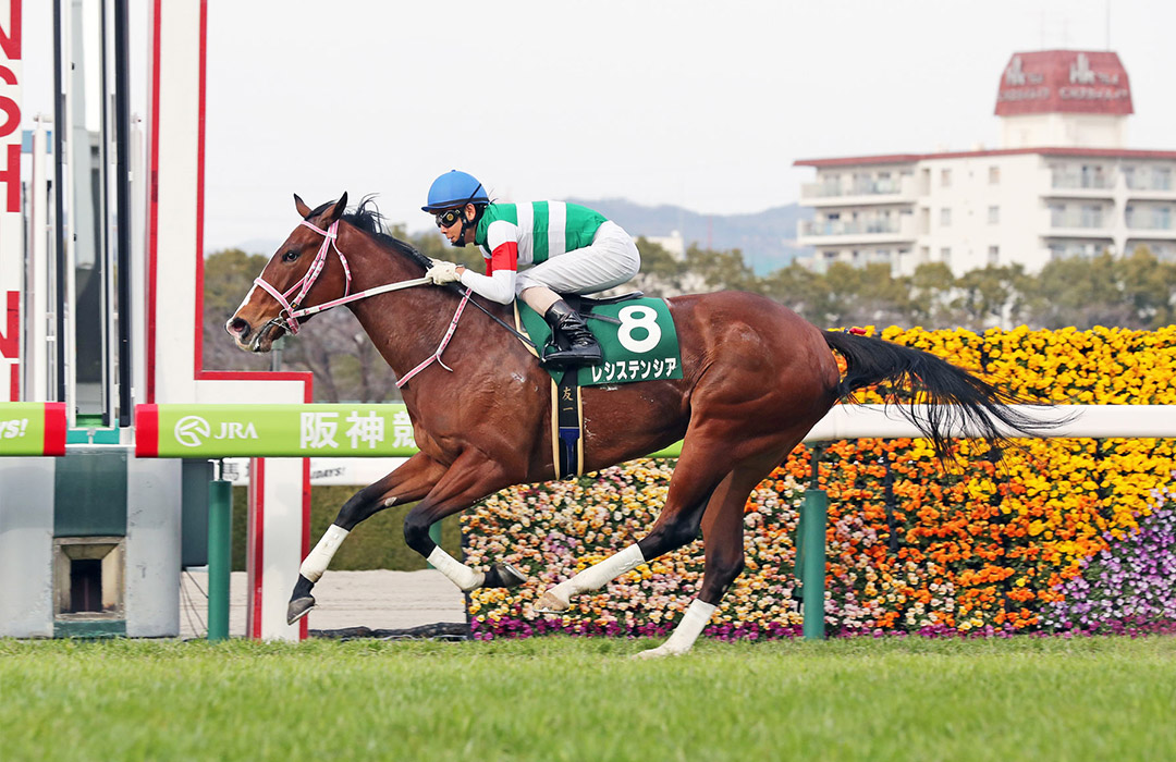 Resistencia wins the 2021 Hankyu Hai Stakes at Hanshin Racecourse