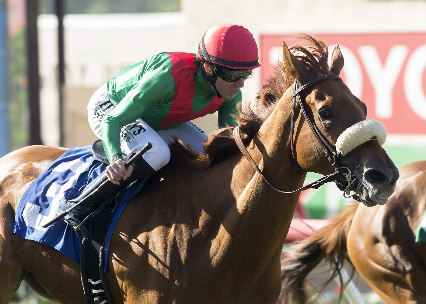 Responsibleforlove wins the 2017 CTT and TOC Handicap