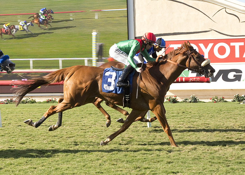 Responsibleforlove wins the CTT and TOC Handicap at Del Mar 8.16.17