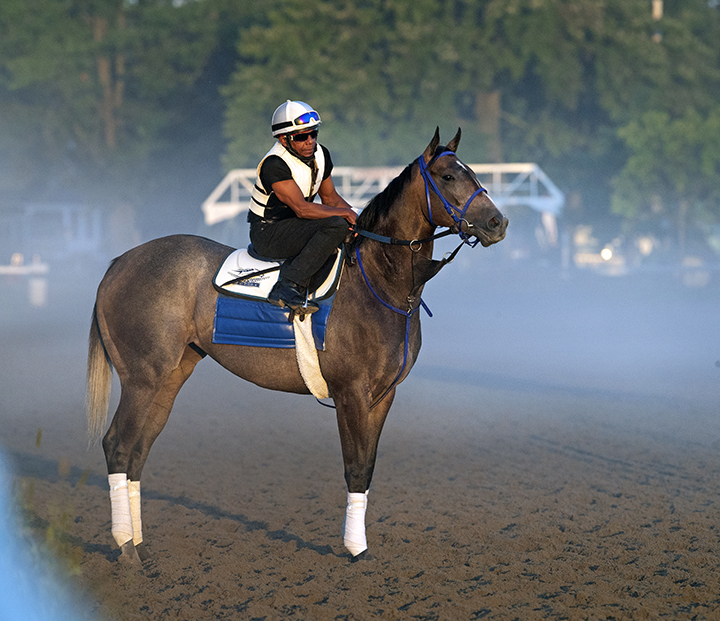 Restless Rider at Saratoga Race Course on Aug. 29