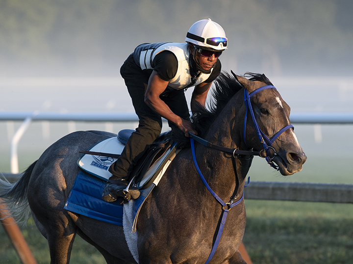 Restless Rider trains at Saratoga on Aug. 29