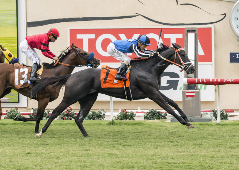 Restrainedvengence wins the 2018 Oceanside Stakes