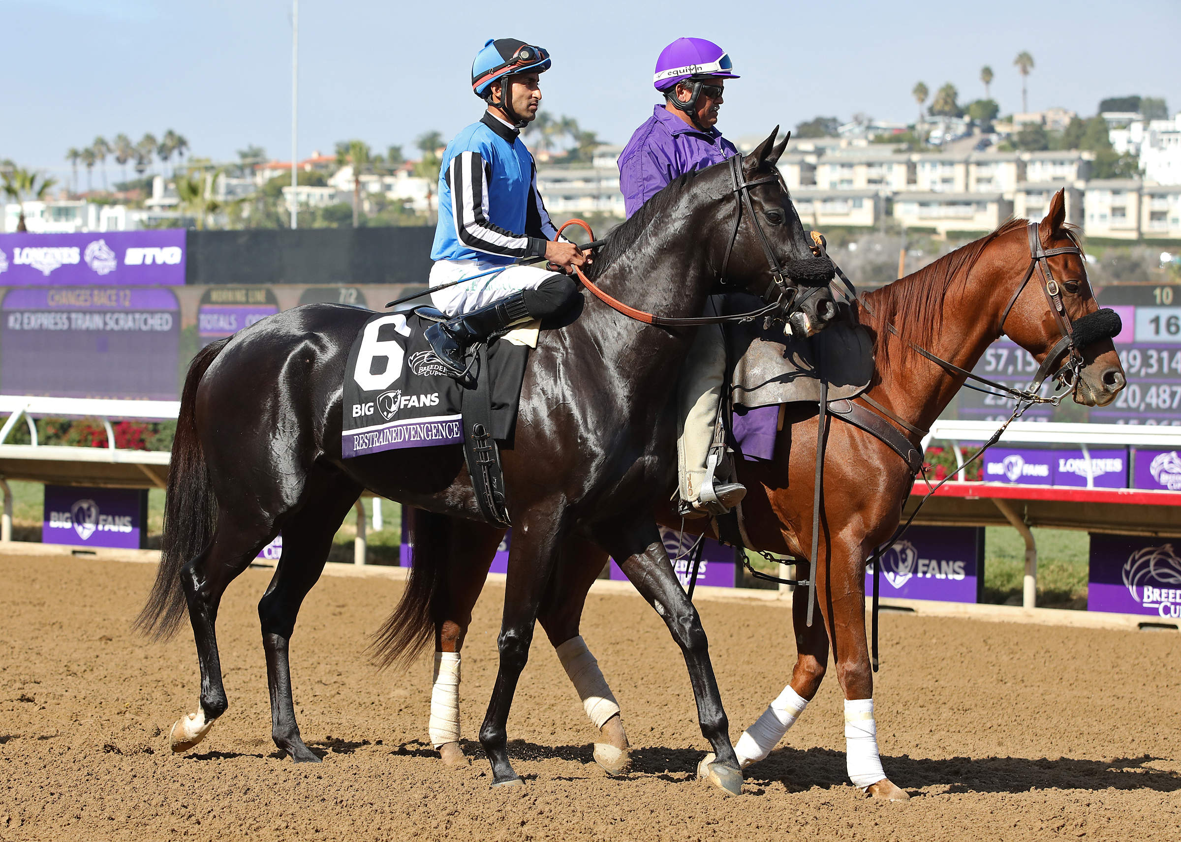 Restrainedvengence at Del Mar Nov 6 2021