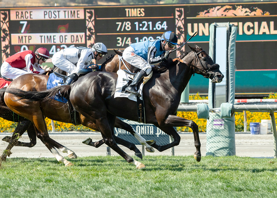 Restrainedvengence wins the 2021 American Stakes at Santa Anita