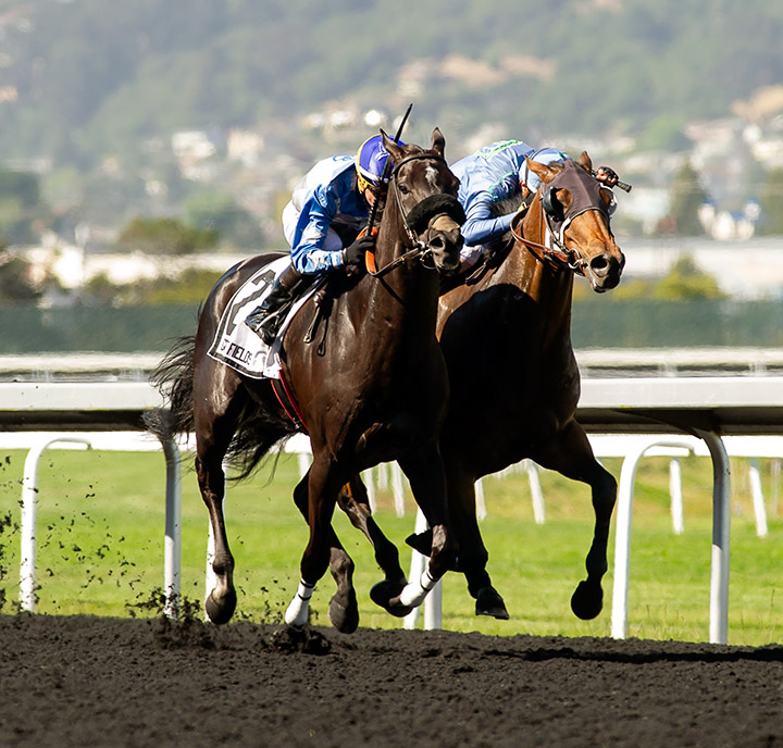 Restrainedvengence (left) wins the All American Stakes at Golden Gate