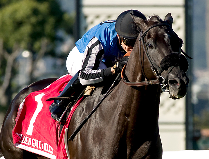 Restrainedvengence wins the 2019 Rolling Green Stakes at Golden Gate Fields