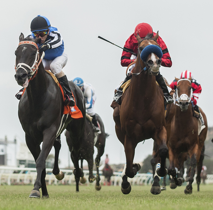 Afleet Ascent finishes second in the Oceanside Stakes