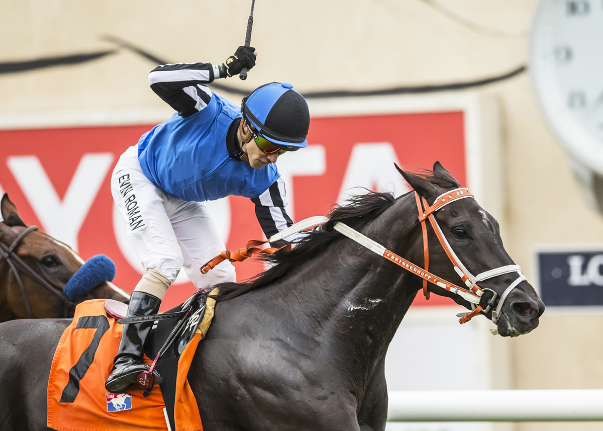 Restrainedvengence wins the 2018 Oceanside Stakes