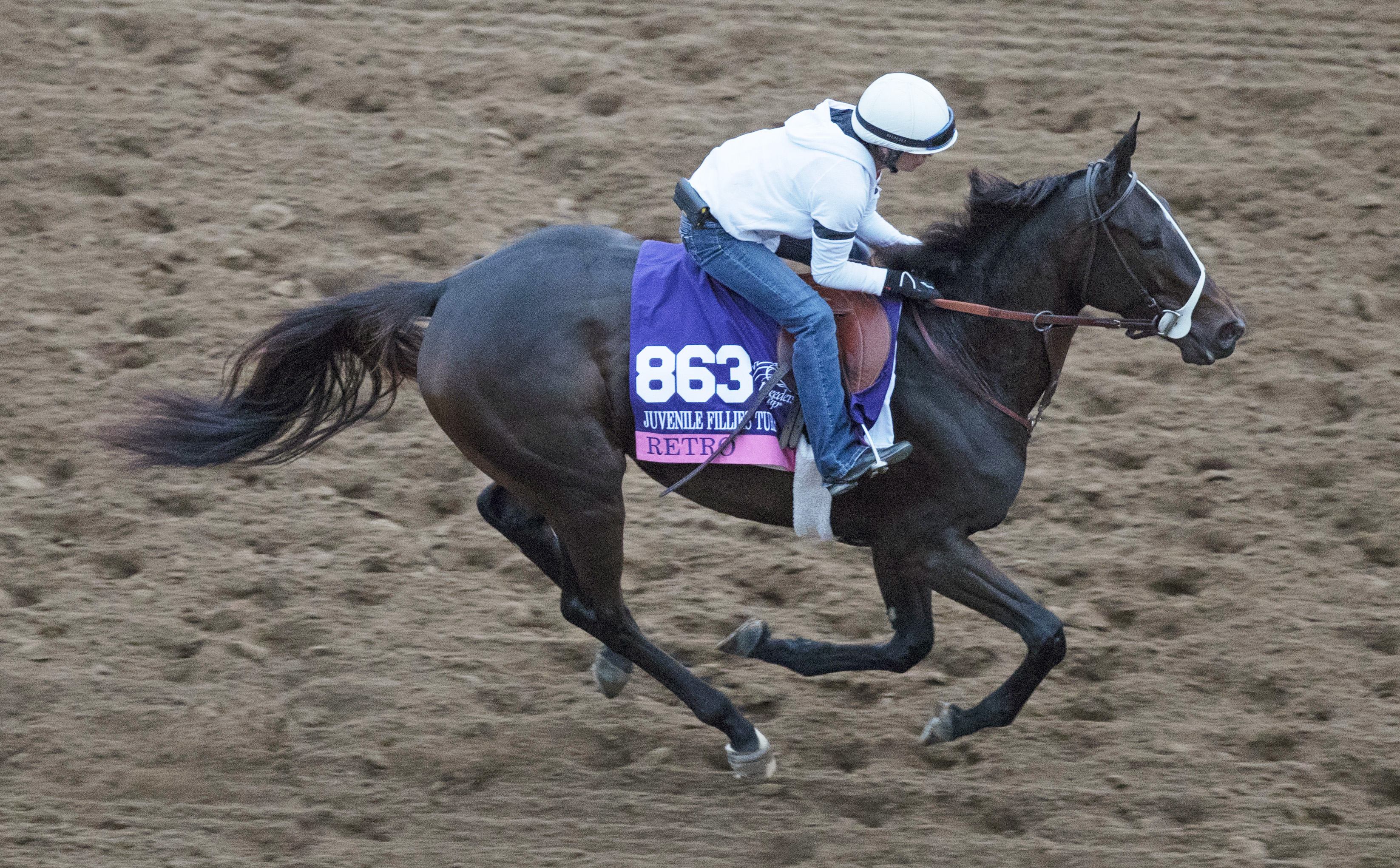Retro at Del Mar on Oct. 30