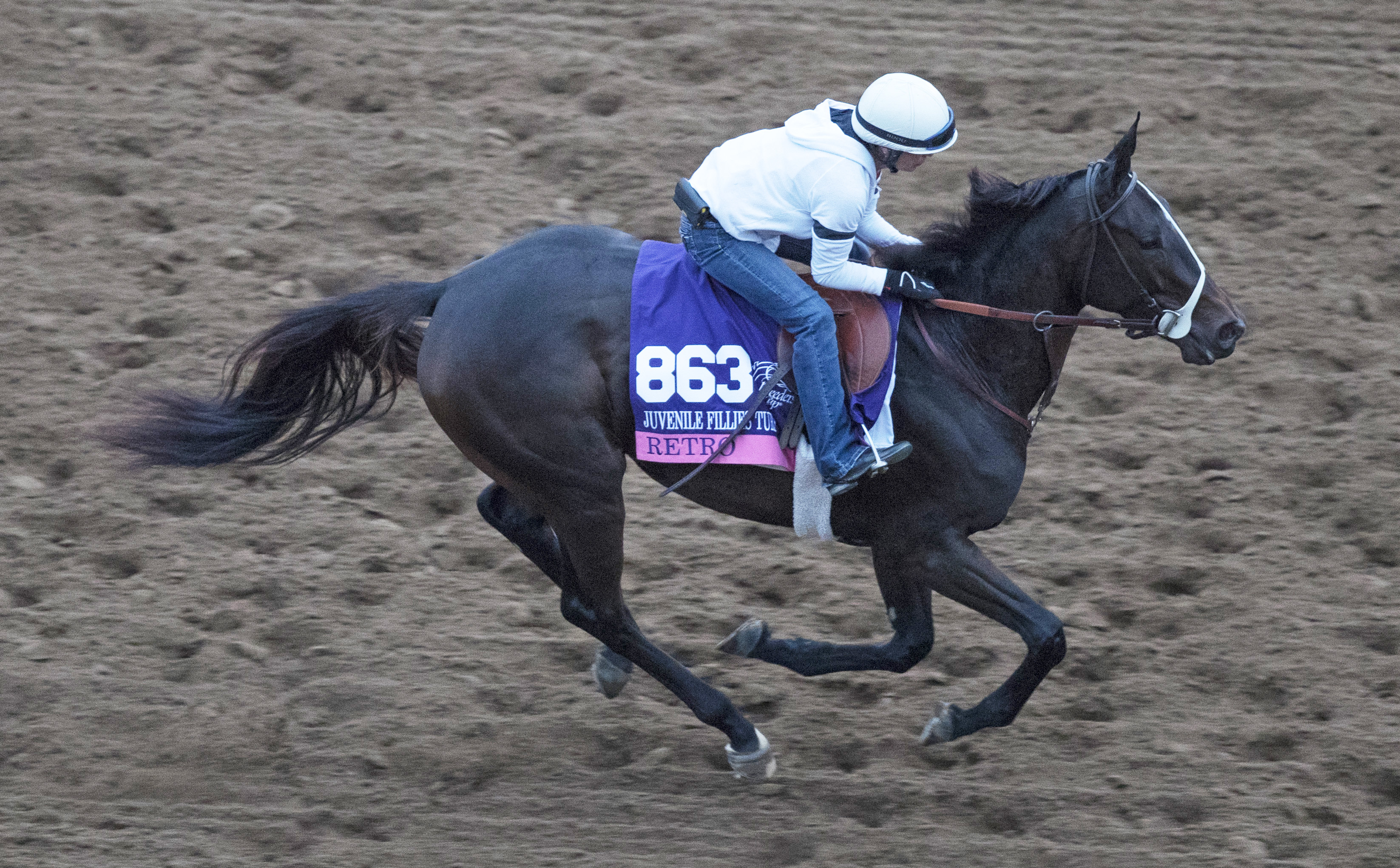 Retro trains at Del Mar on Oct. 30