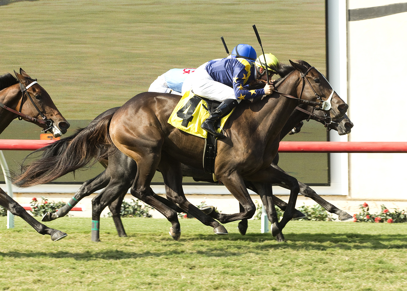 Retro wins a maiden race on Sept. 4