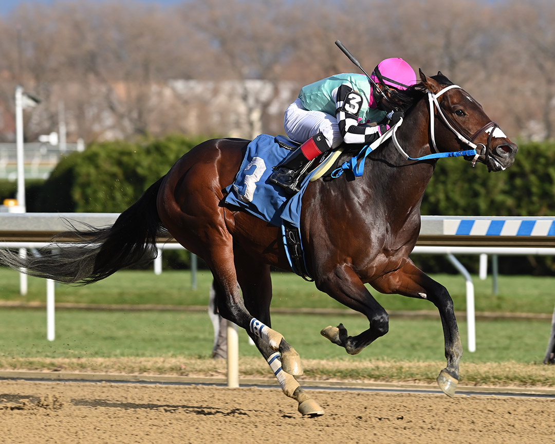 Return the Ring wins a November 2020 maiden race at Aqueduct