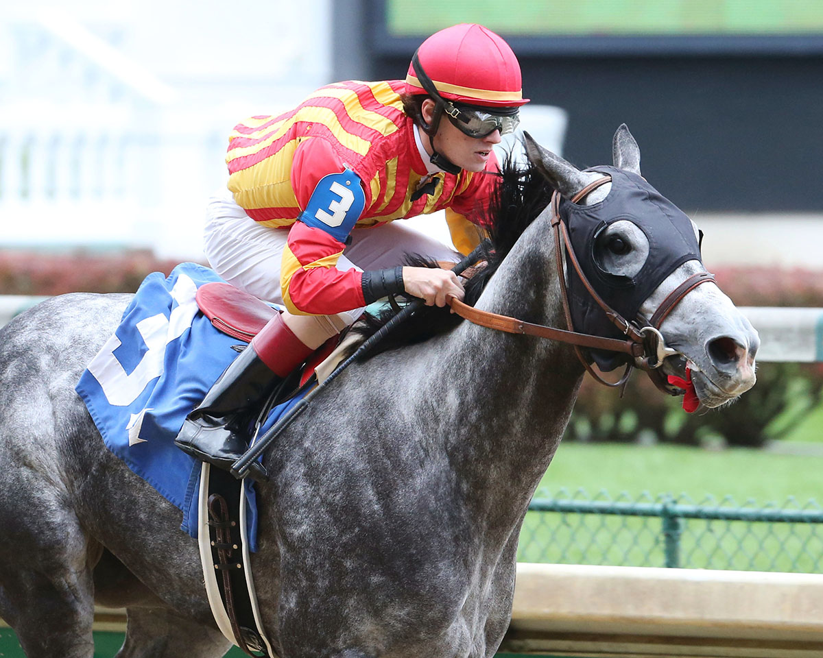 Revenant One wins a Nov. 18 allowance race