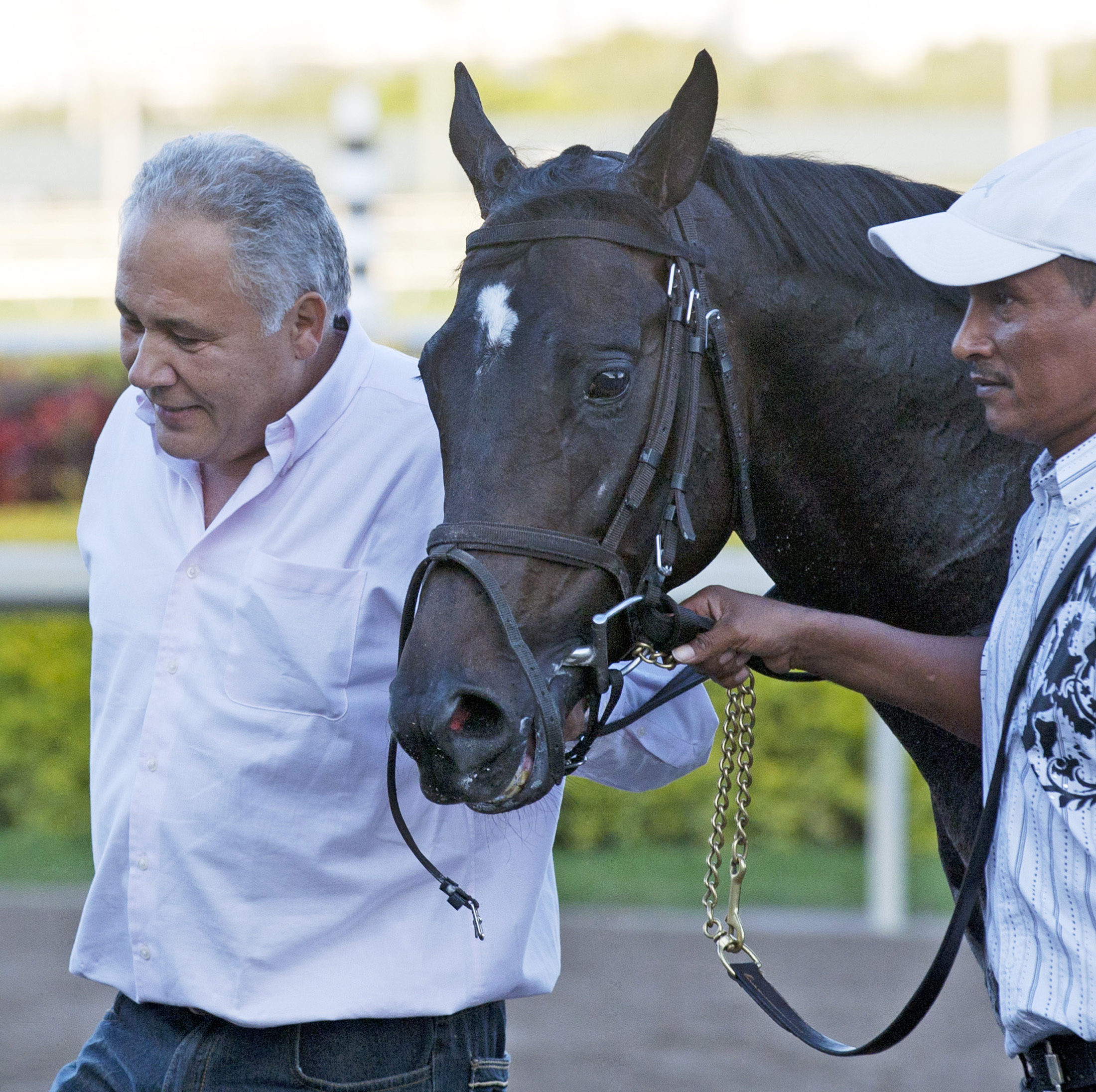 Reveron with trainer Agustin Bezara