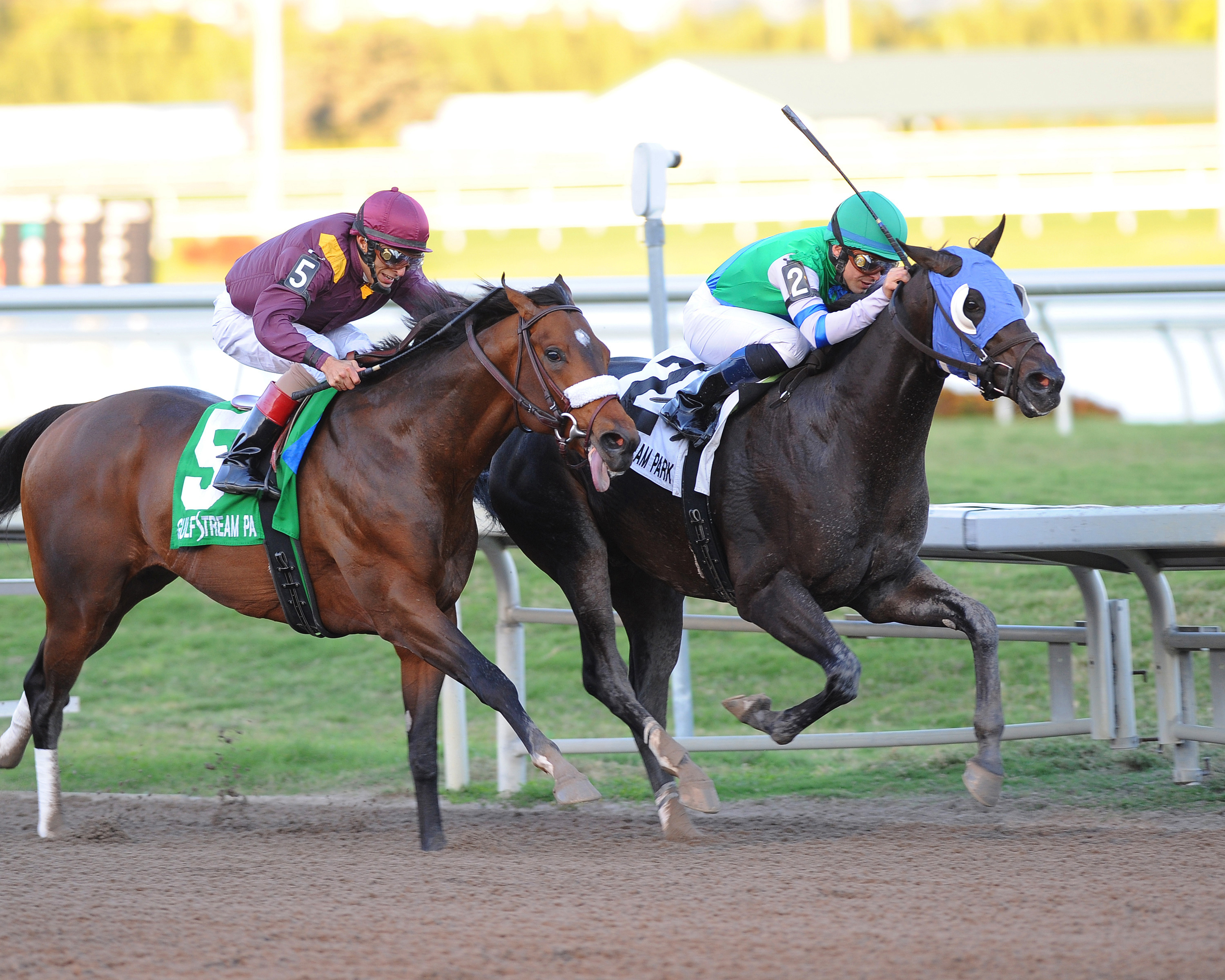 Reveron/Gulfstream Park Derby