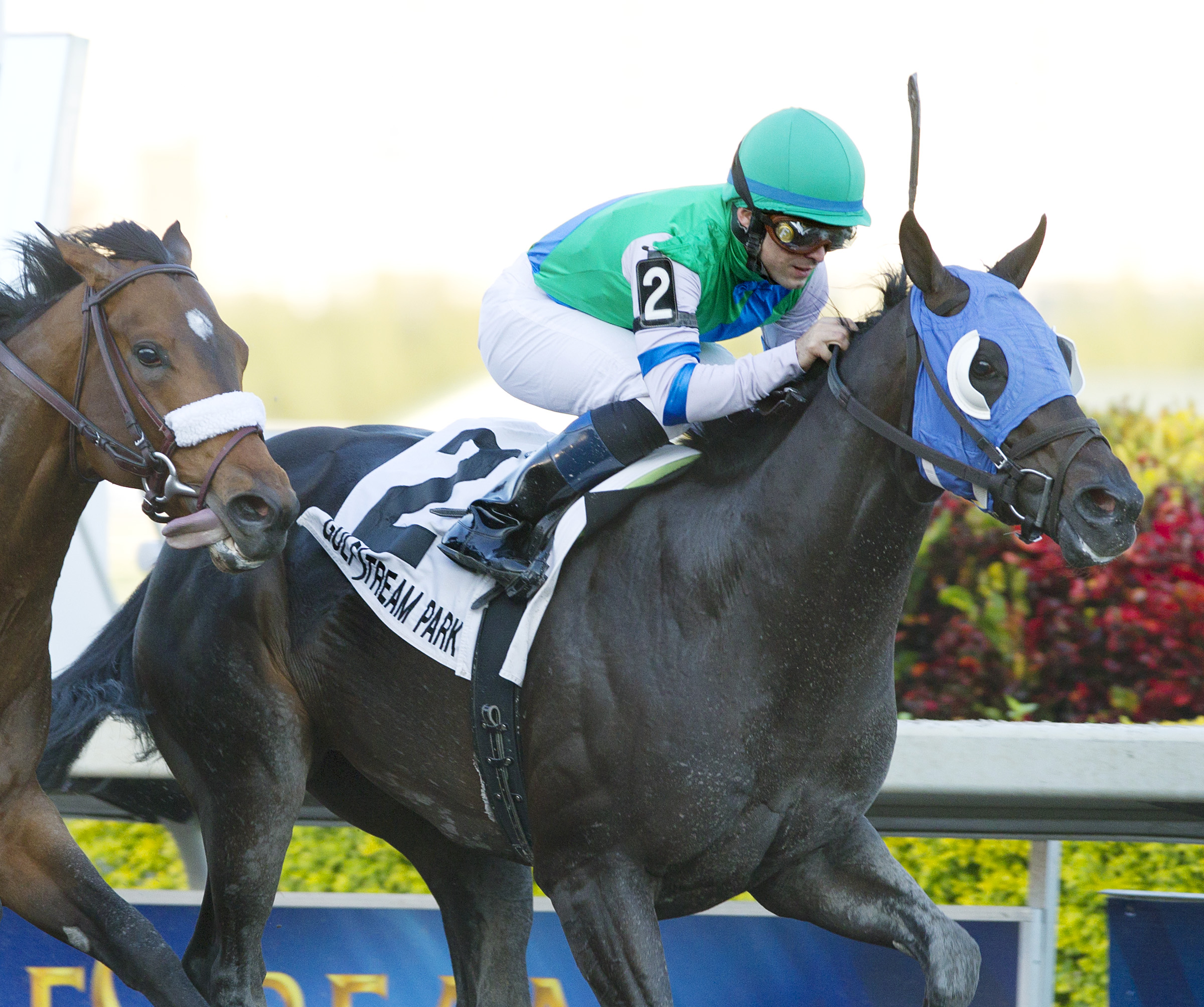 Reveron/GP Derby