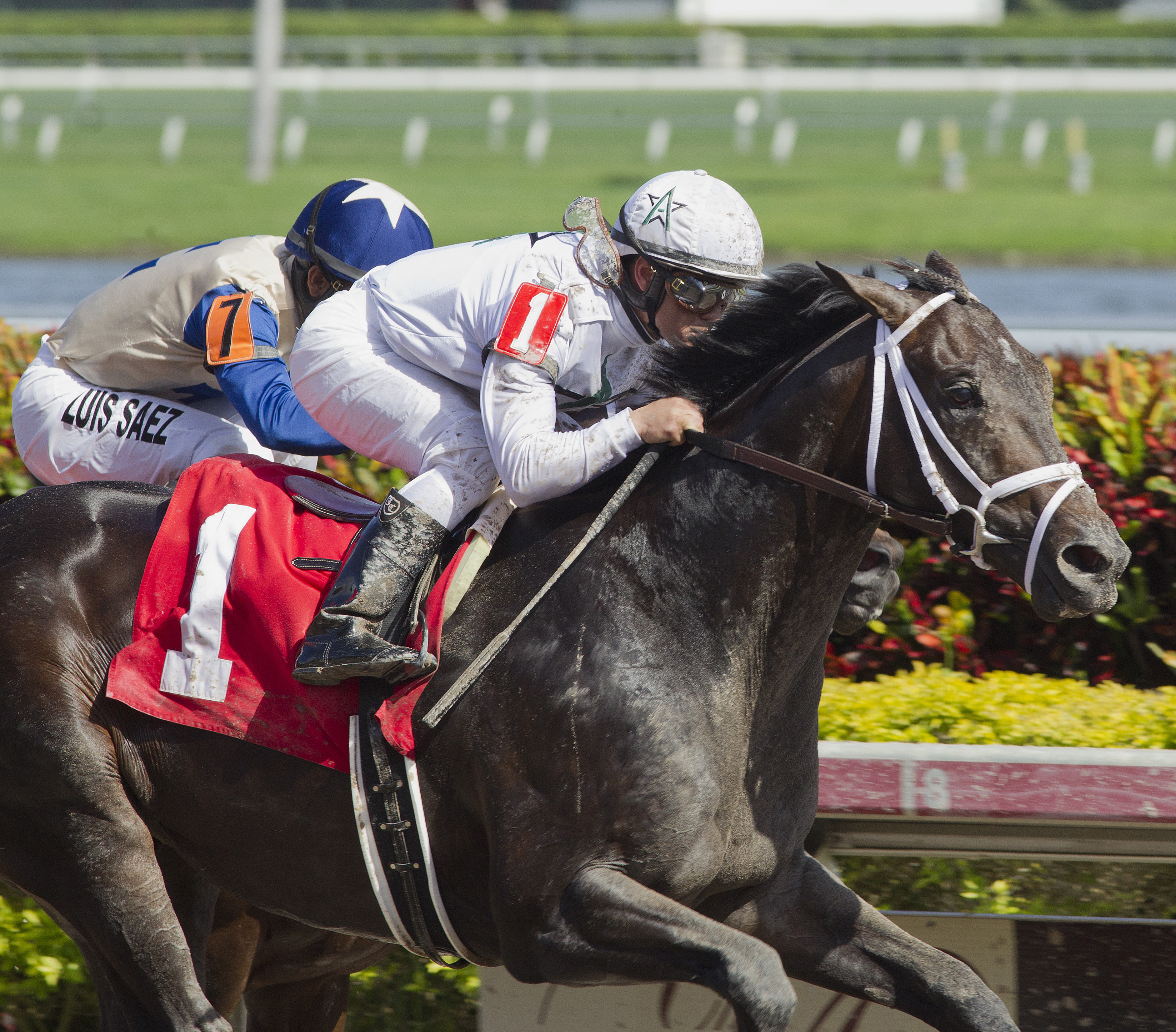 Revolutionary wins an allowance race