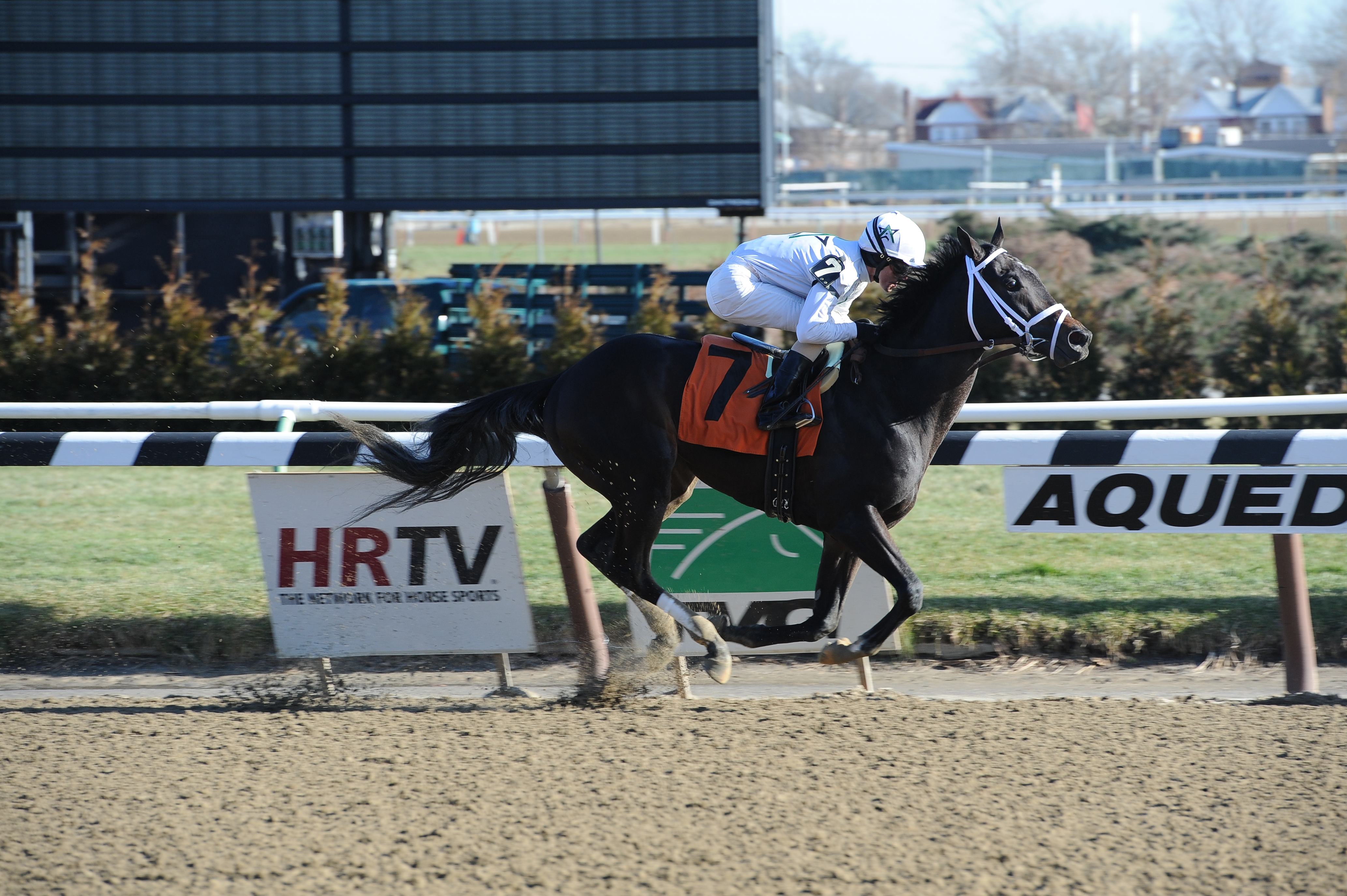 Revolutionary, maiden win