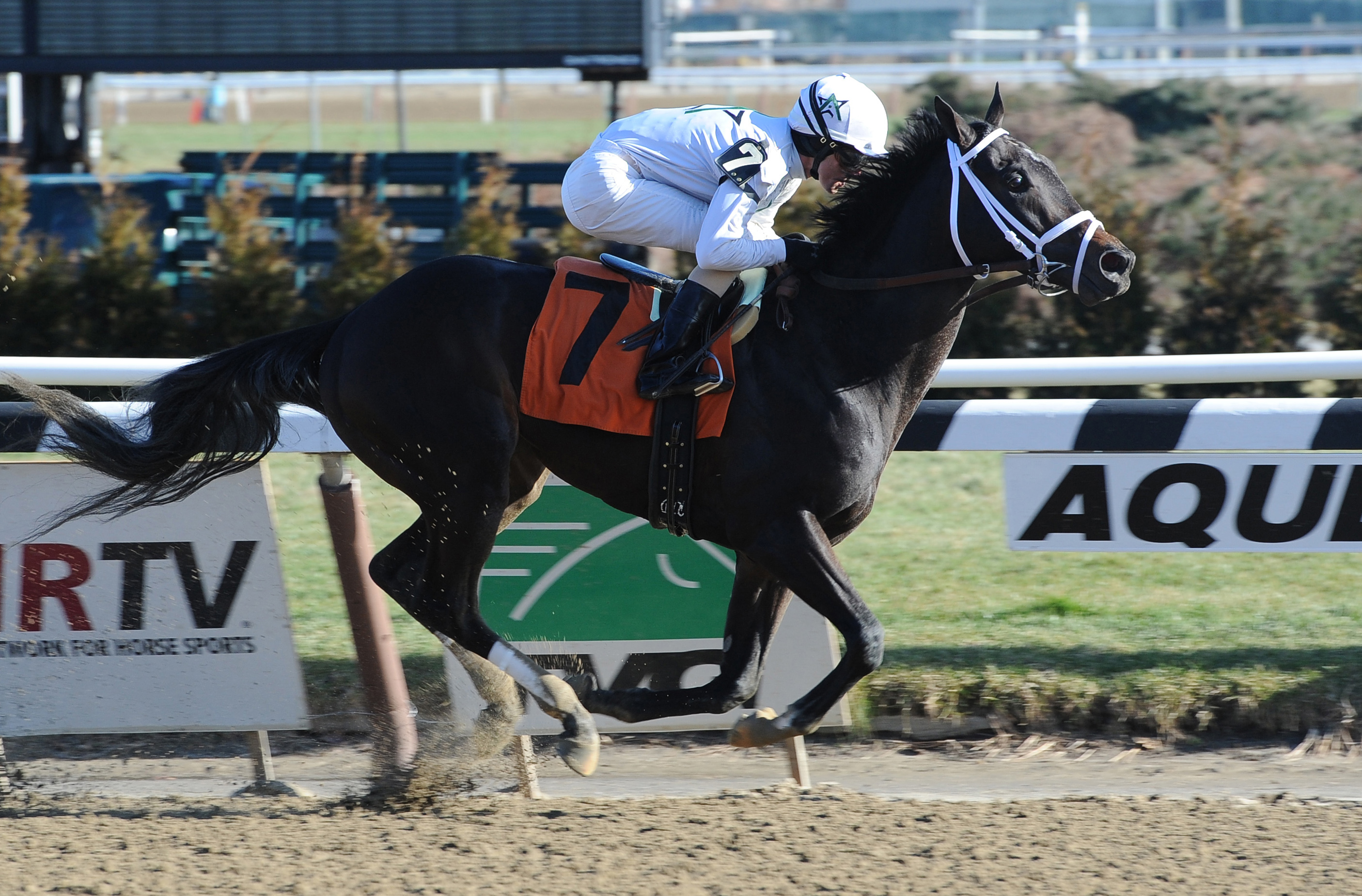 Revolutionary, maiden win