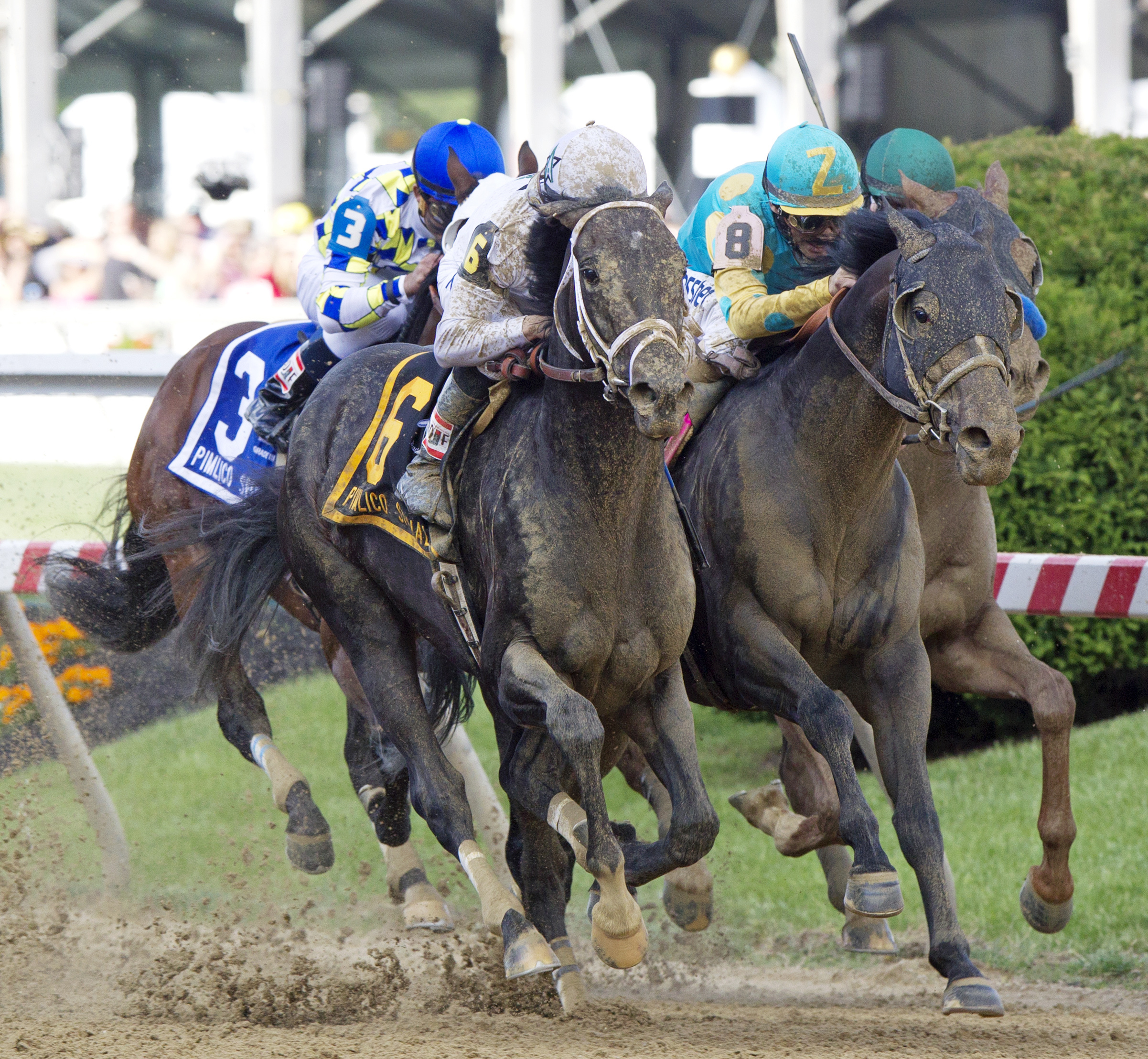 Revolutionary wins the Pimlico Special