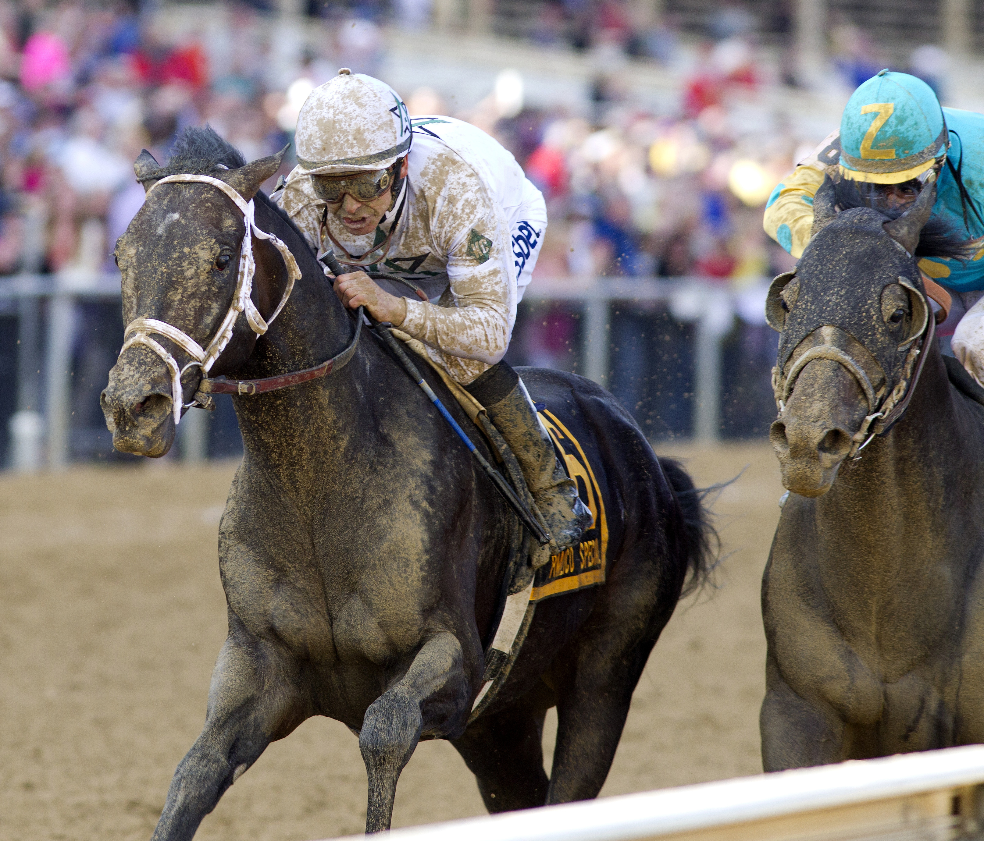 Revolutionary wins the Pimlico Special