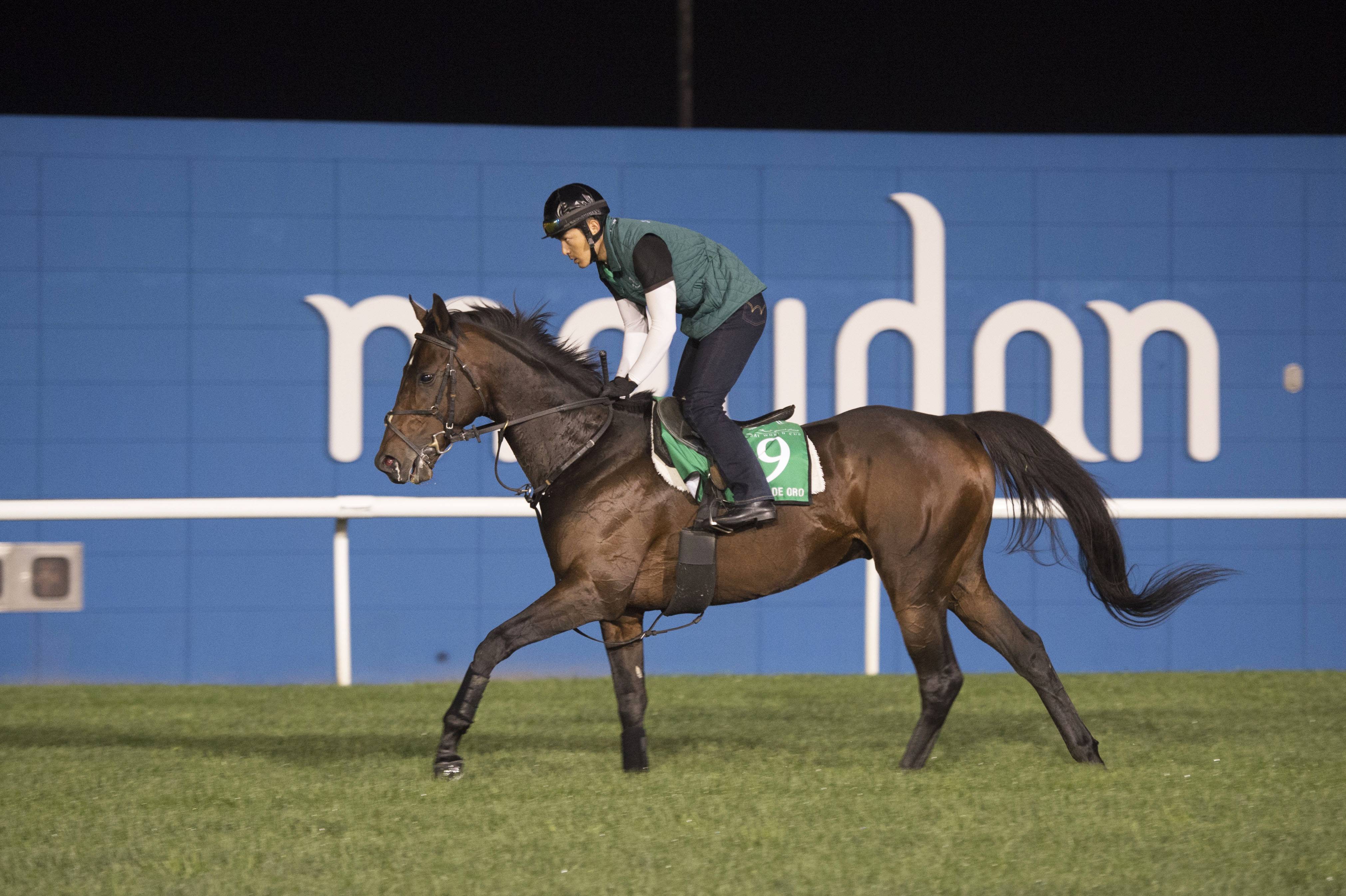 Rey de Oro trains at Meydan on March 27