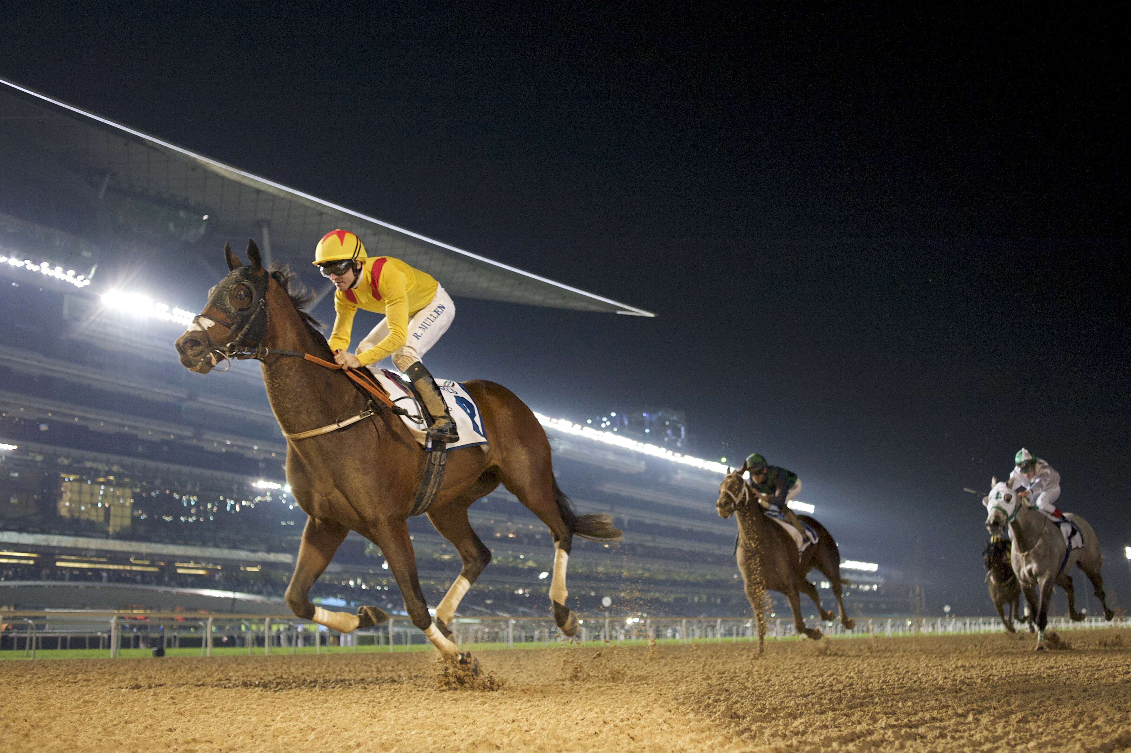 Reynaldothewizard wins the 2016 Dubawi Stakes