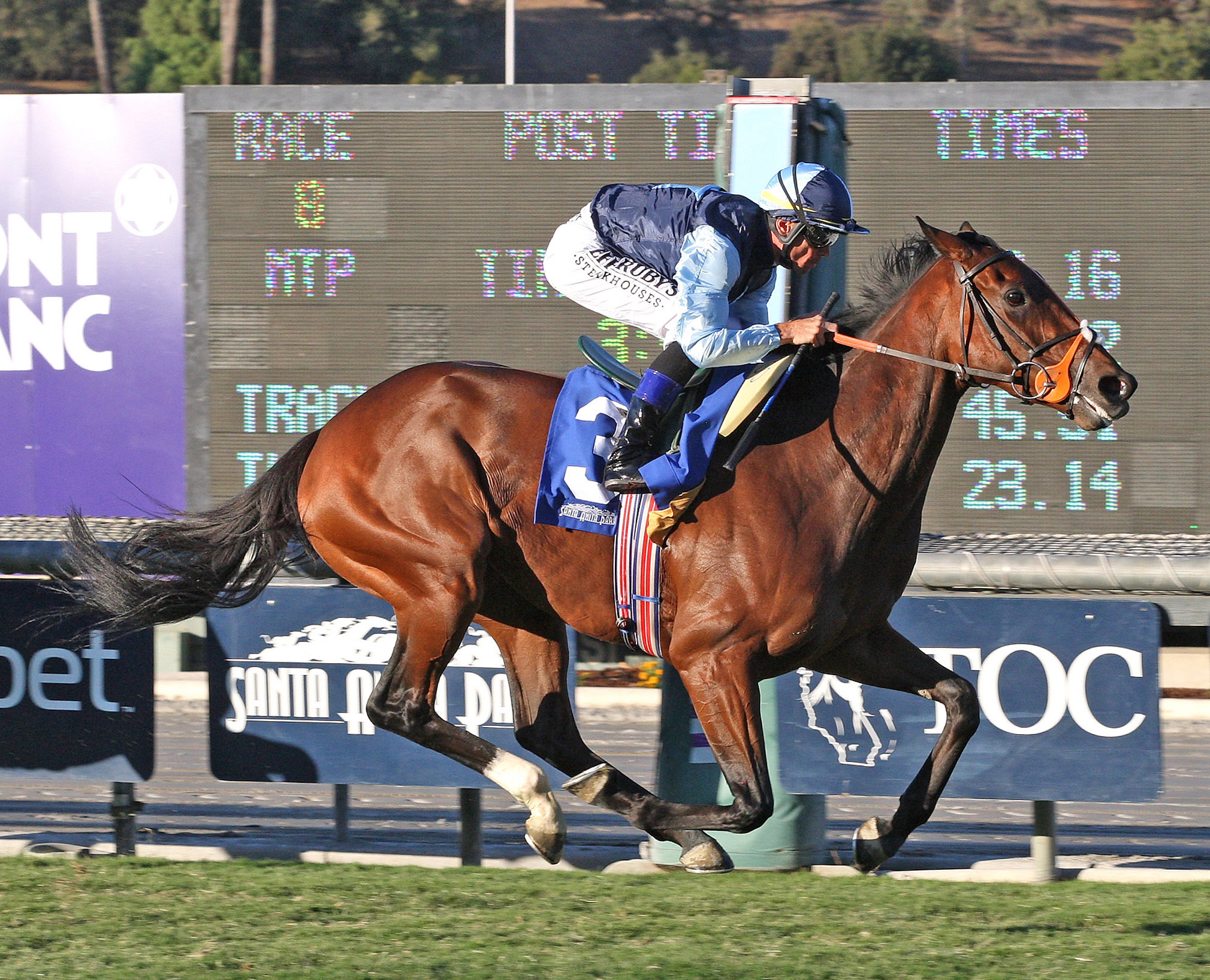 Rhythm of Light/Goldikova Stakes