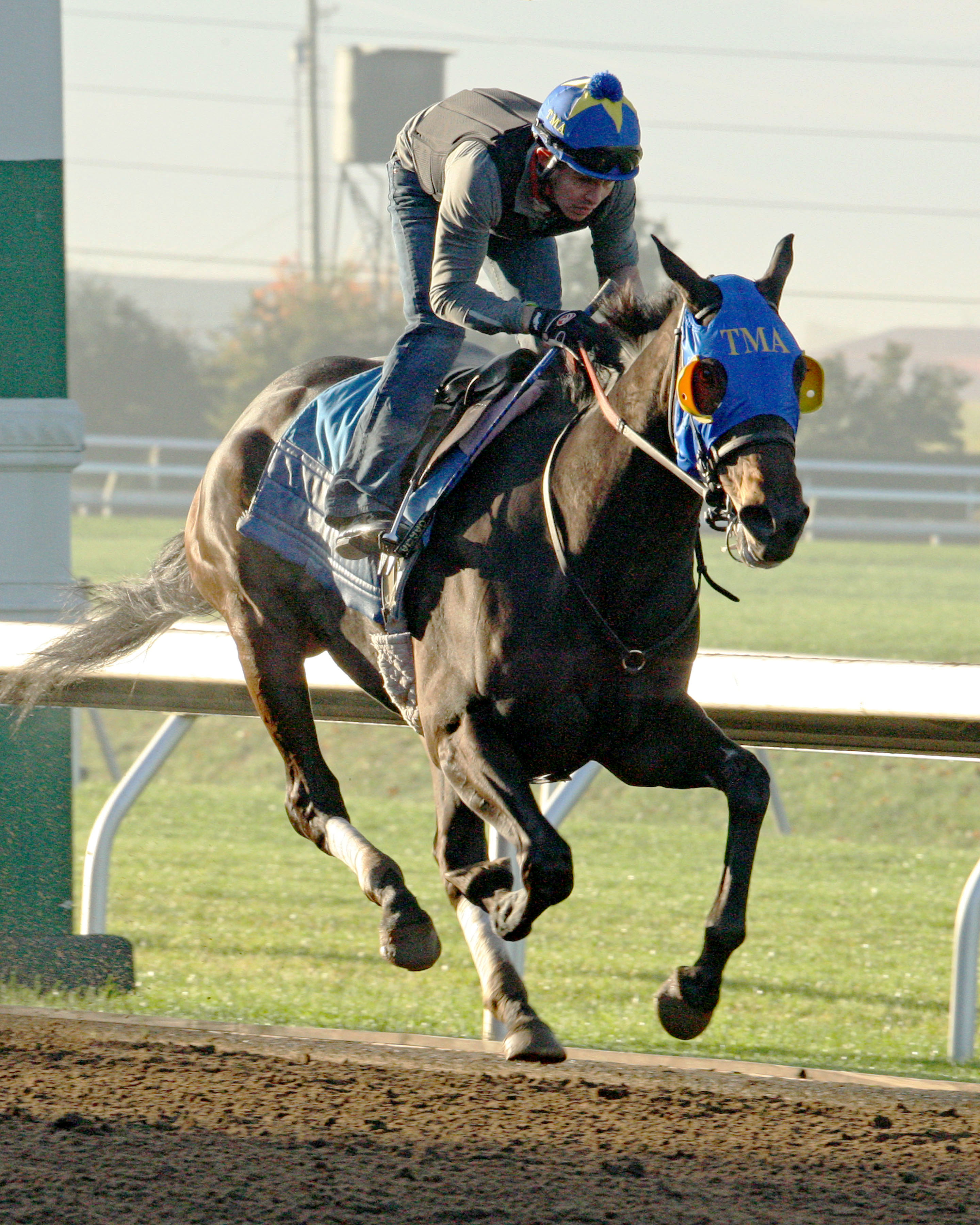 Ria Antonia trains at Keeneland on Oct. 24