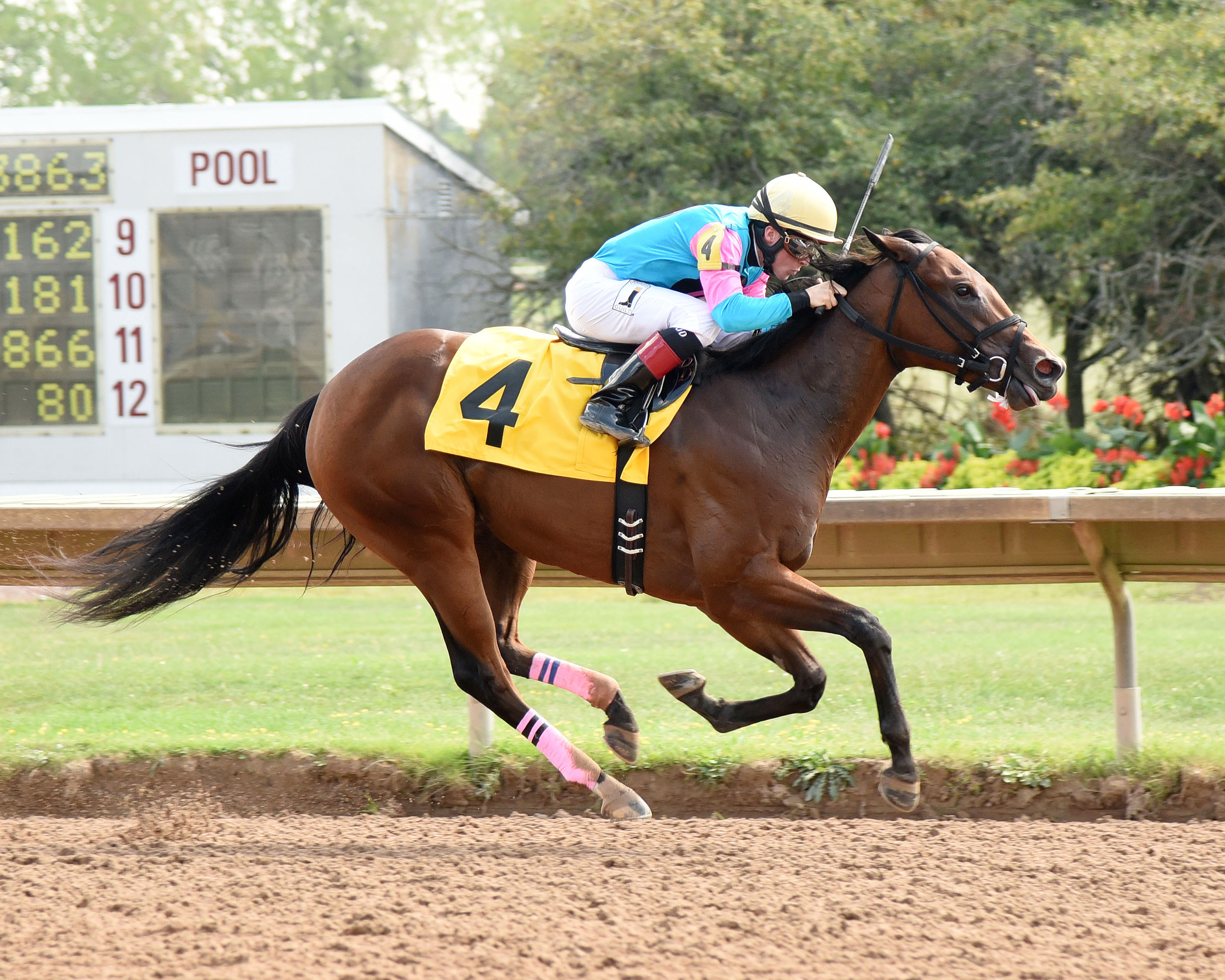 Ribbonite wins the Lady Finger Stakes