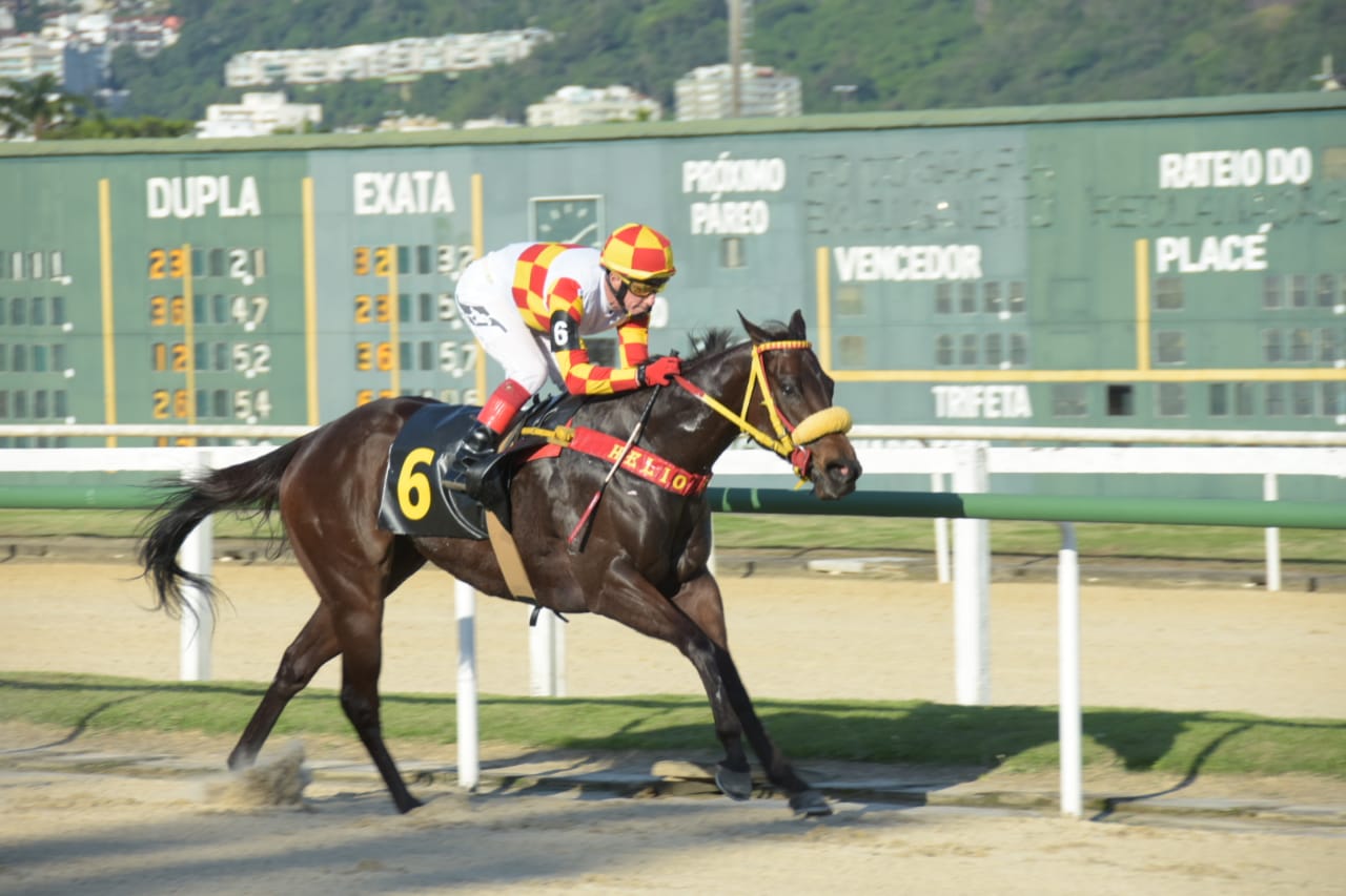 Jorge Ricardo 13,000 triunfos