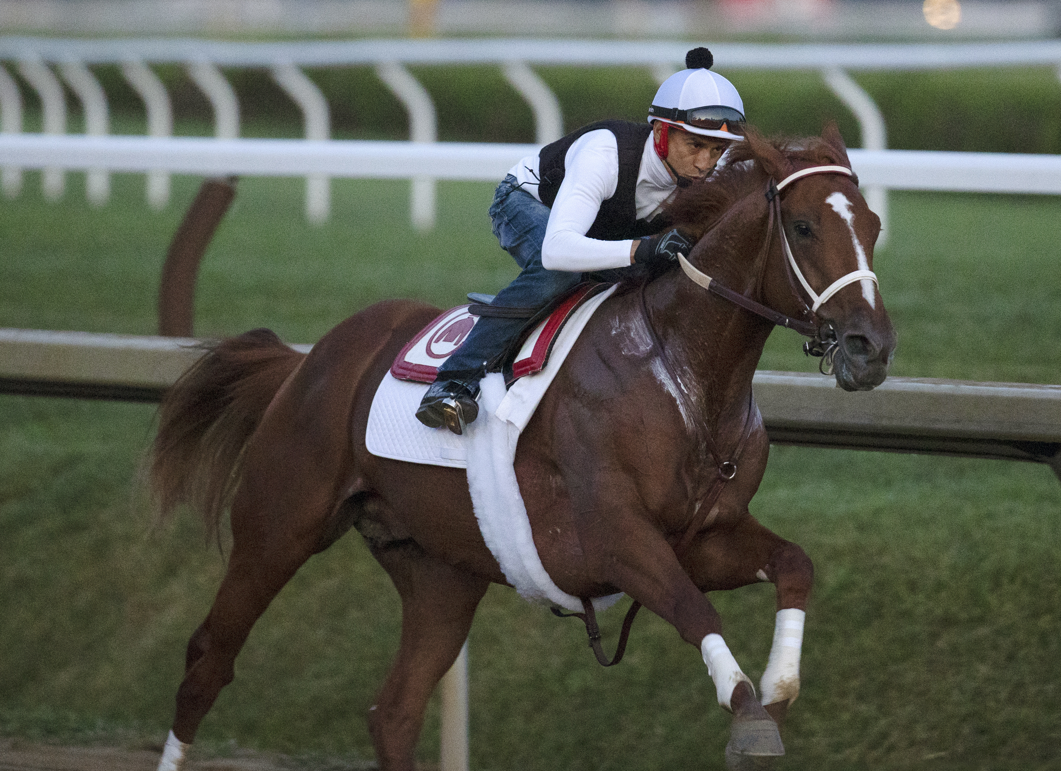 Rich Strike works at Saratoga on August 19 2022