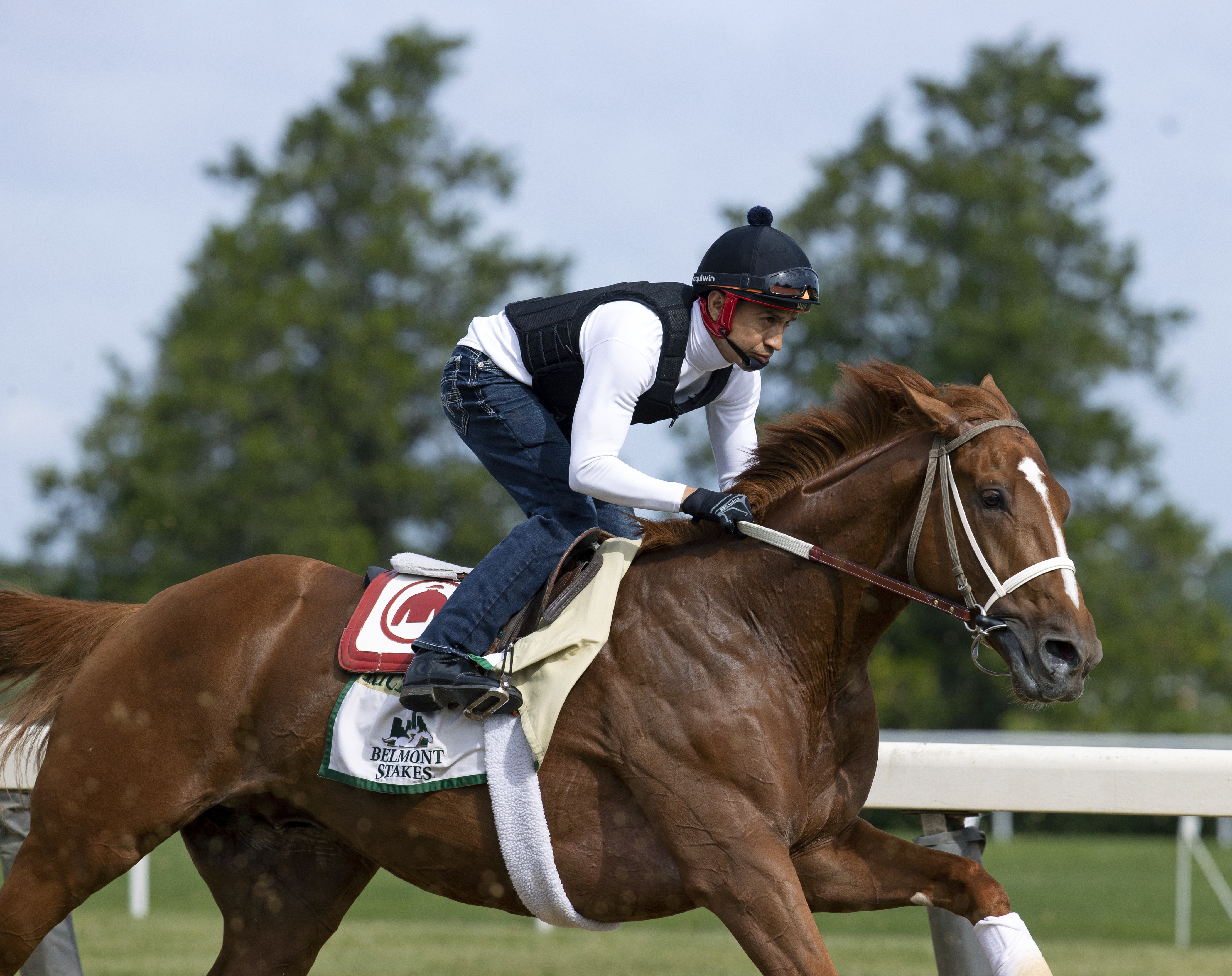 Rich Strike trains at Belmont on June 7 2022