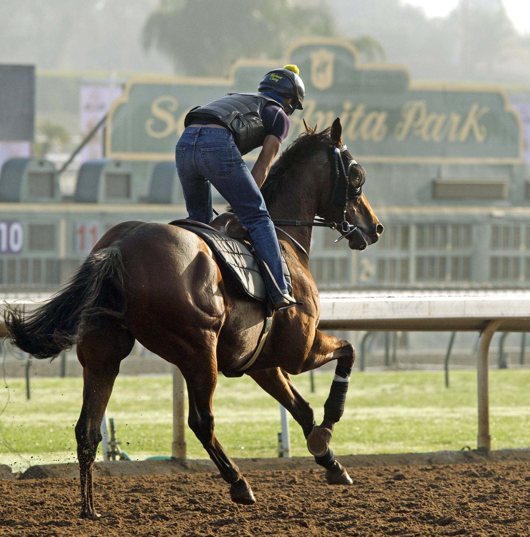 Rich Tapestry trains at Santa Anita on Oct. 21