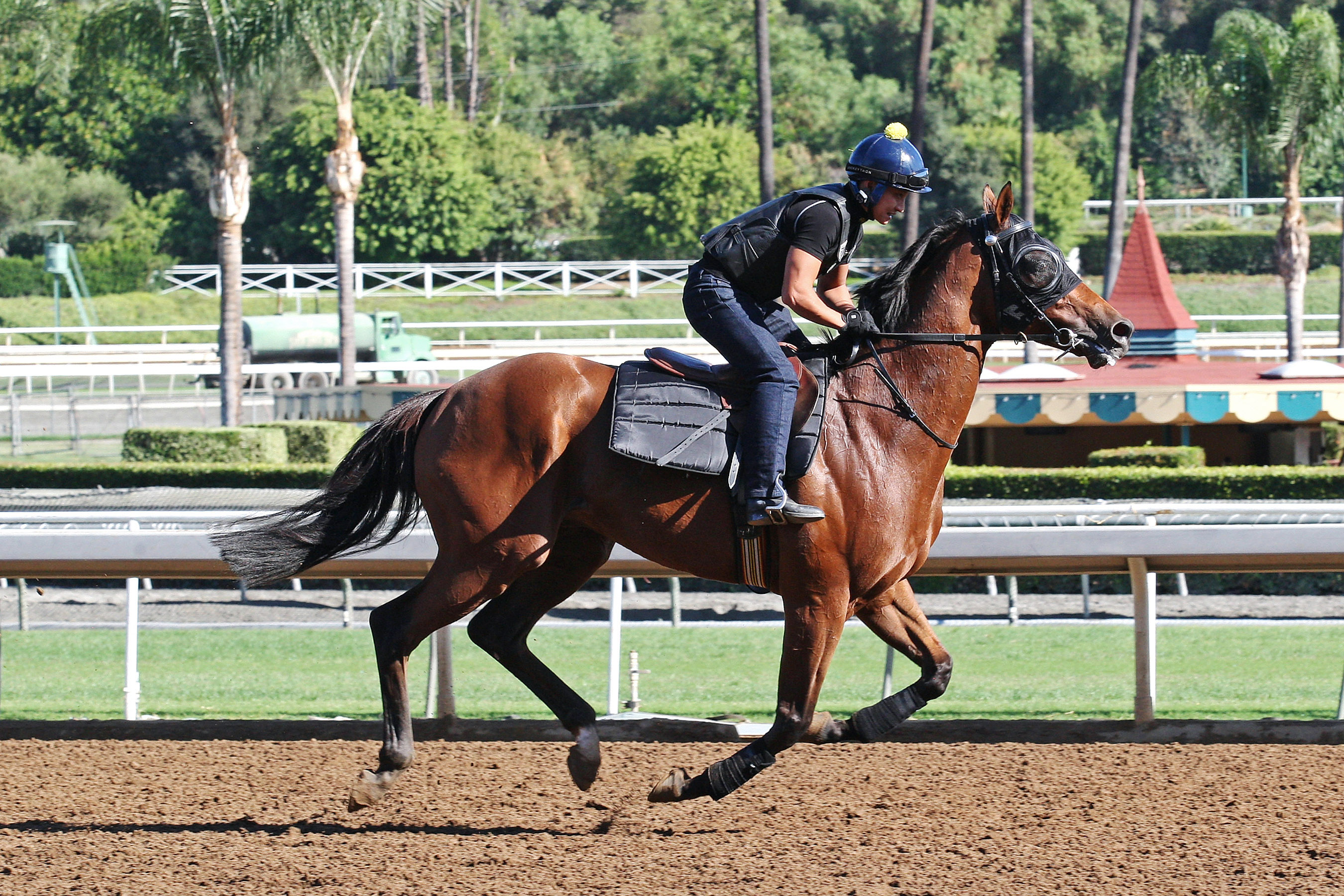 Rich Tapestry trains at Santa Anita