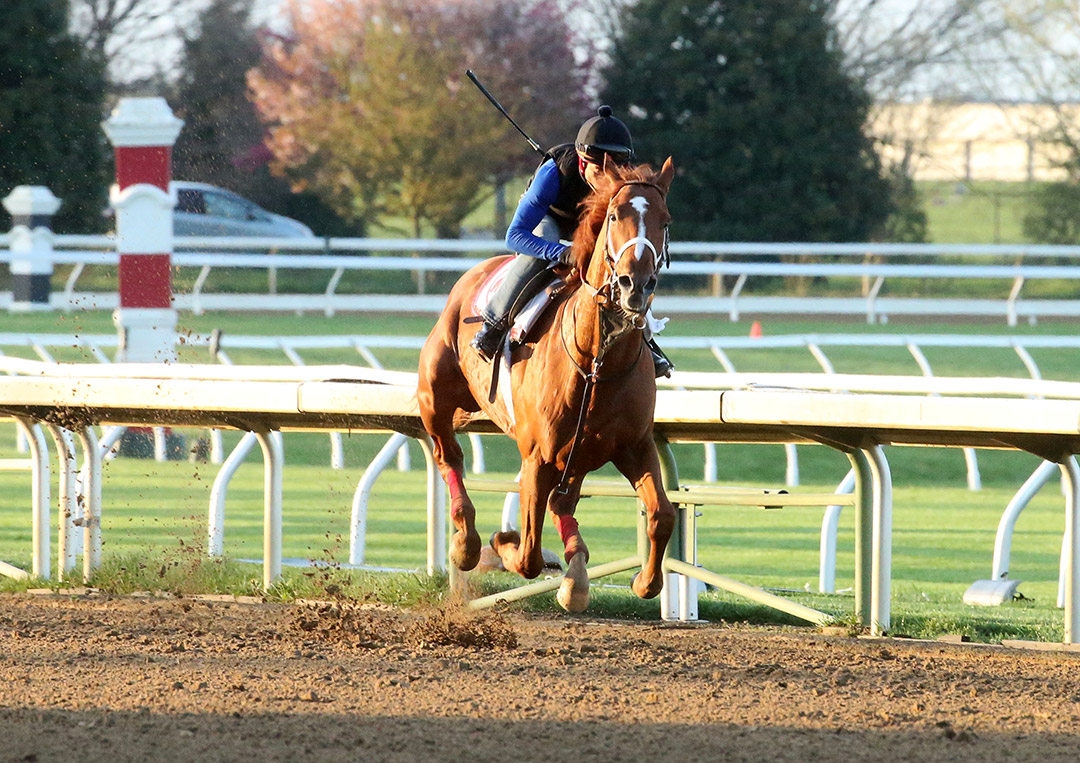 Rich Strike trains at Keeneland Racecourse on April 16