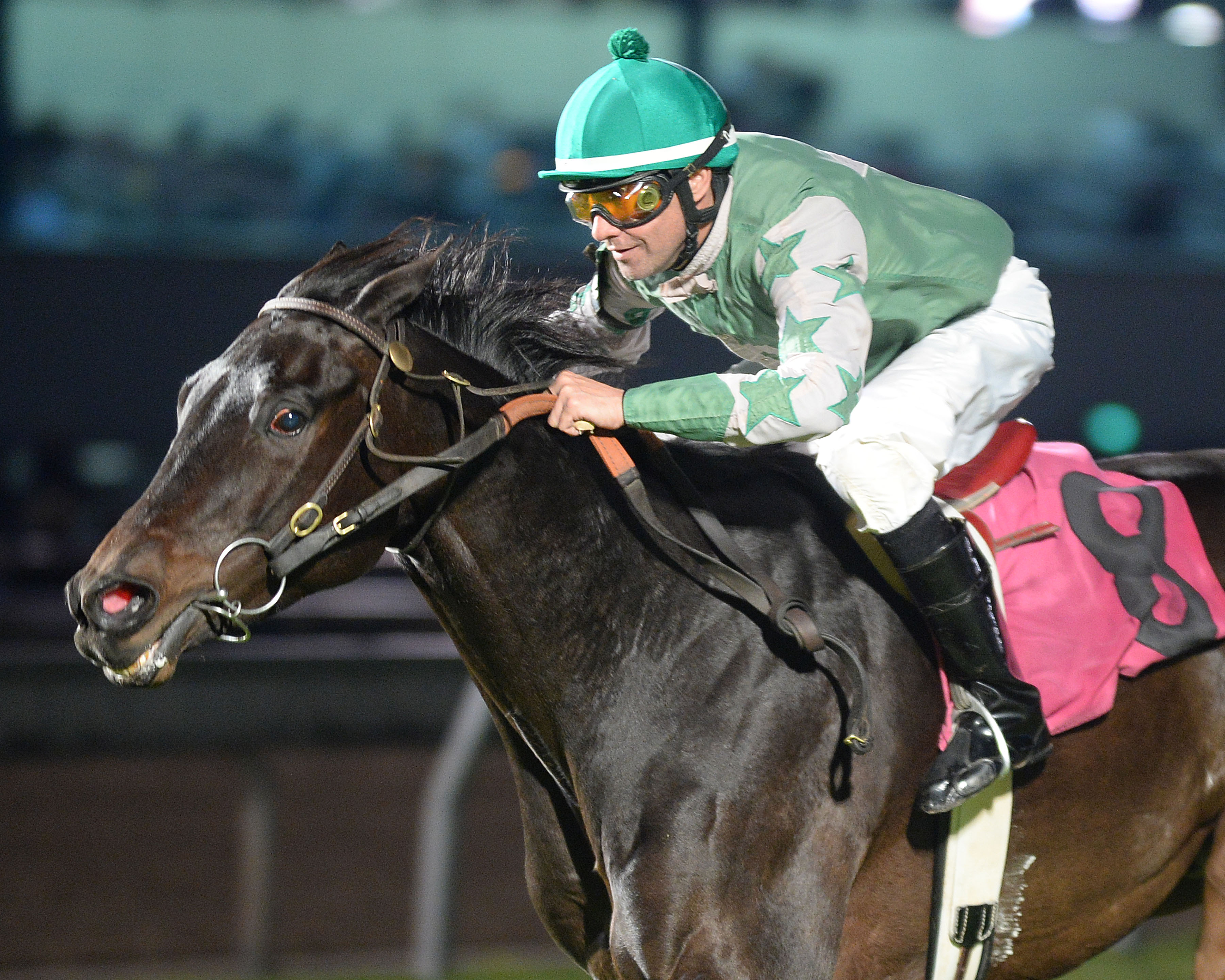 Quiet Acceleration defends title in Richard King