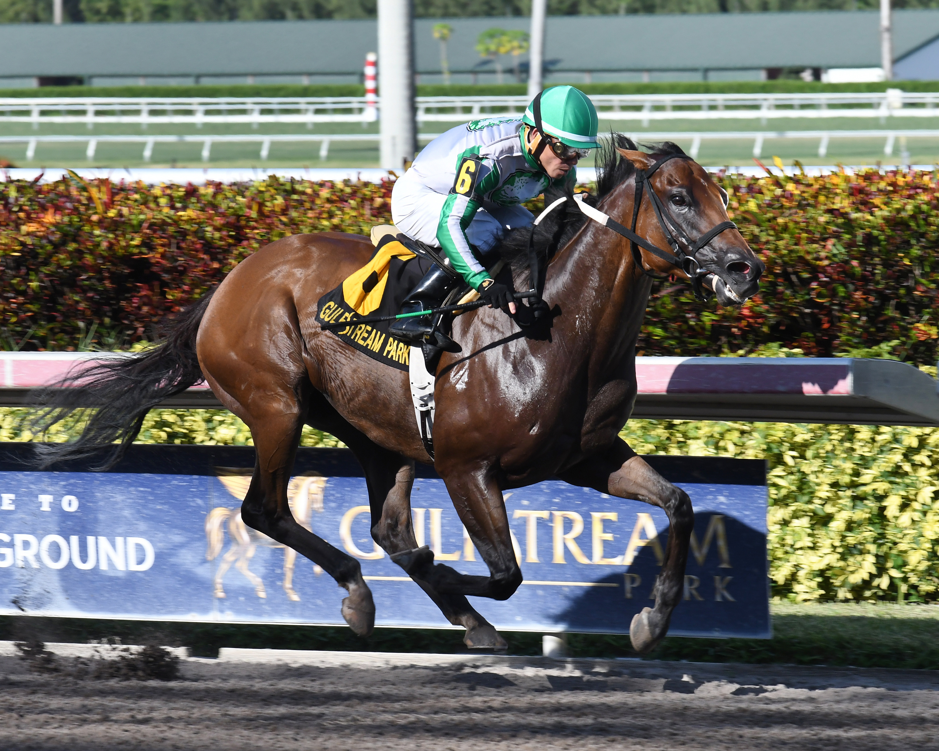 Richard the Great wins the 2017 Trinniberg Handicap